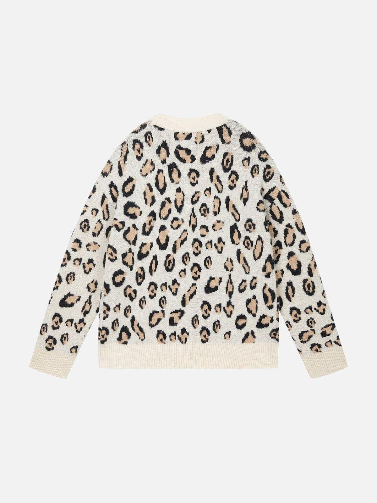 Aelfric Eden Leopard Graphic Sweater Product Image