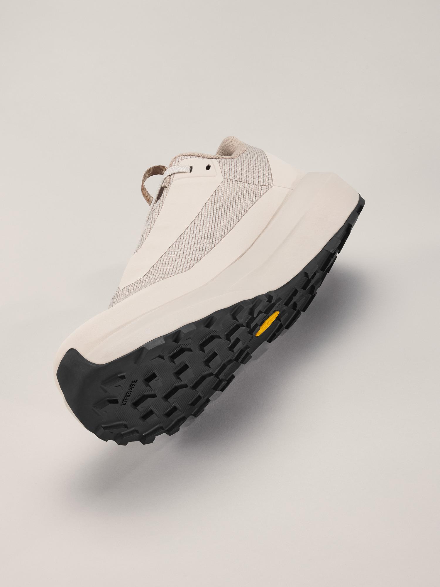 Norvan LD 4 GTX Shoe Men's Product Image