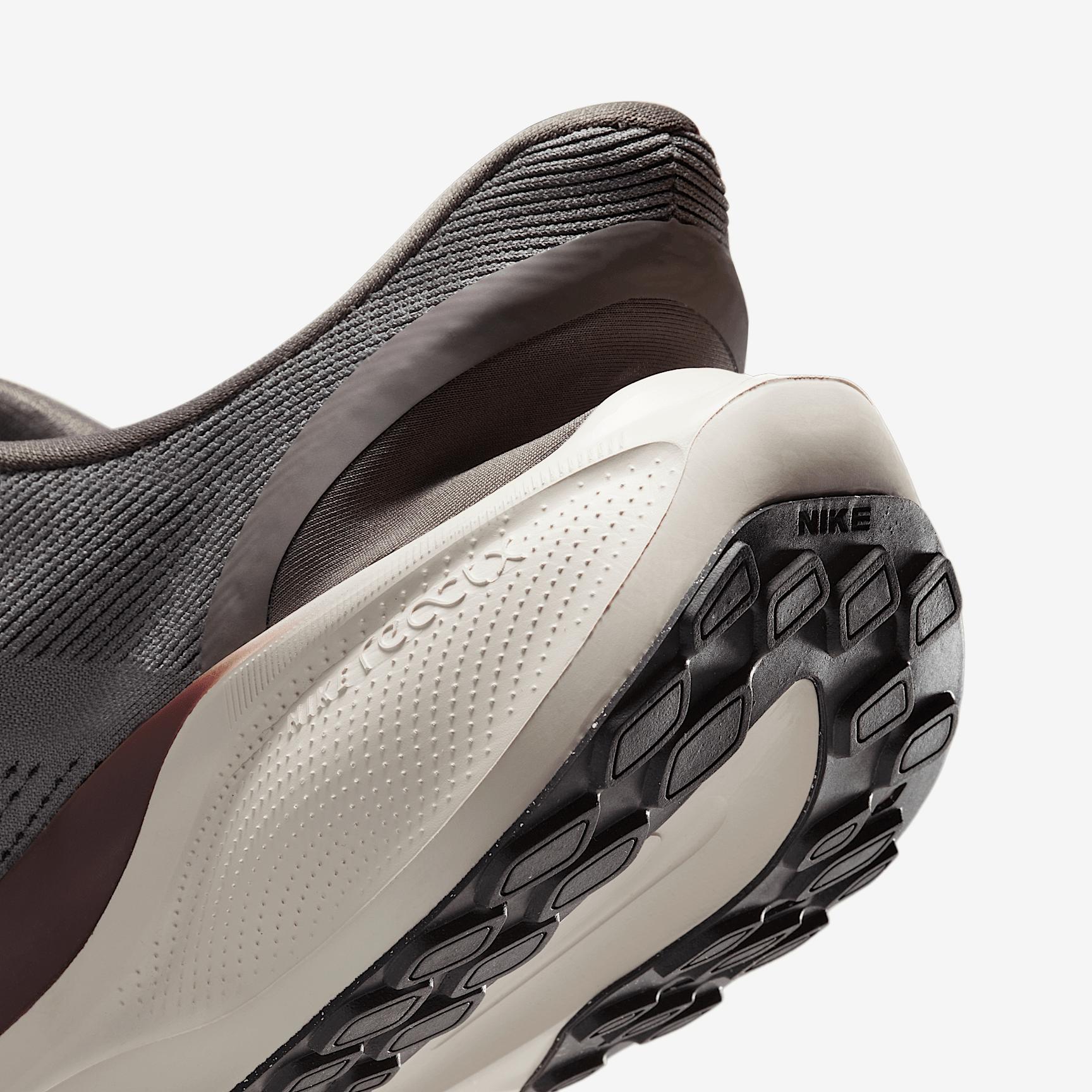 Nike Mens Pegasus EasyOn Road Running Shoes | FQ7837-103 Product Image