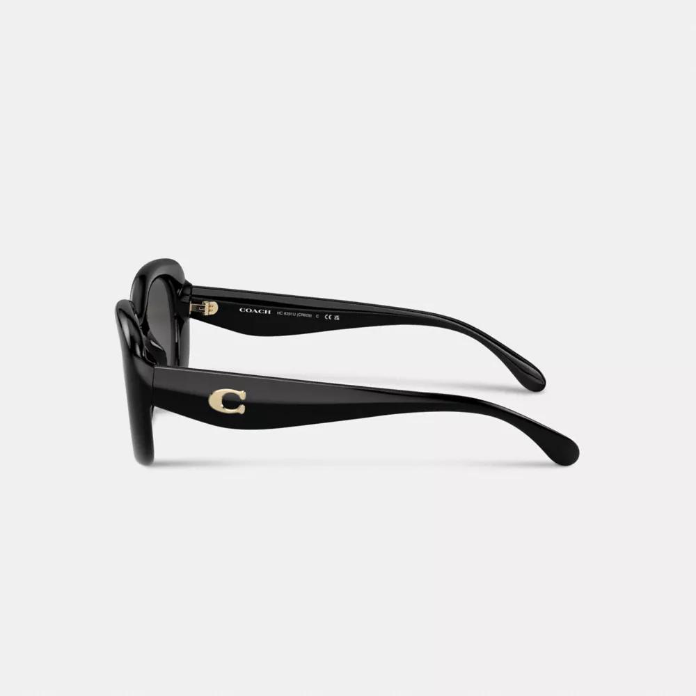 C Hardware Round Sunglasses Product Image