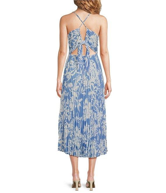 ASTR the Label Blythe Floral Print V-Neck Sleeveless Pleated Midi Dress Product Image