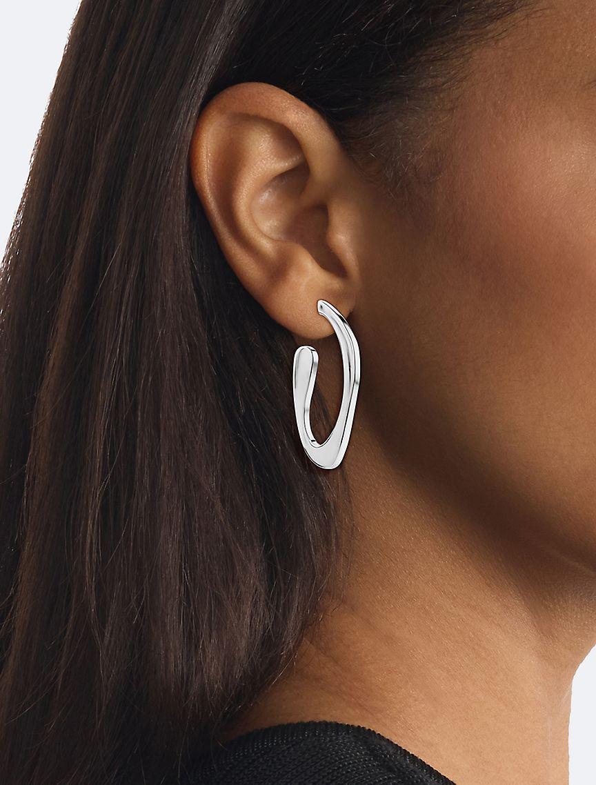 Round Organic Shape Earrings Product Image