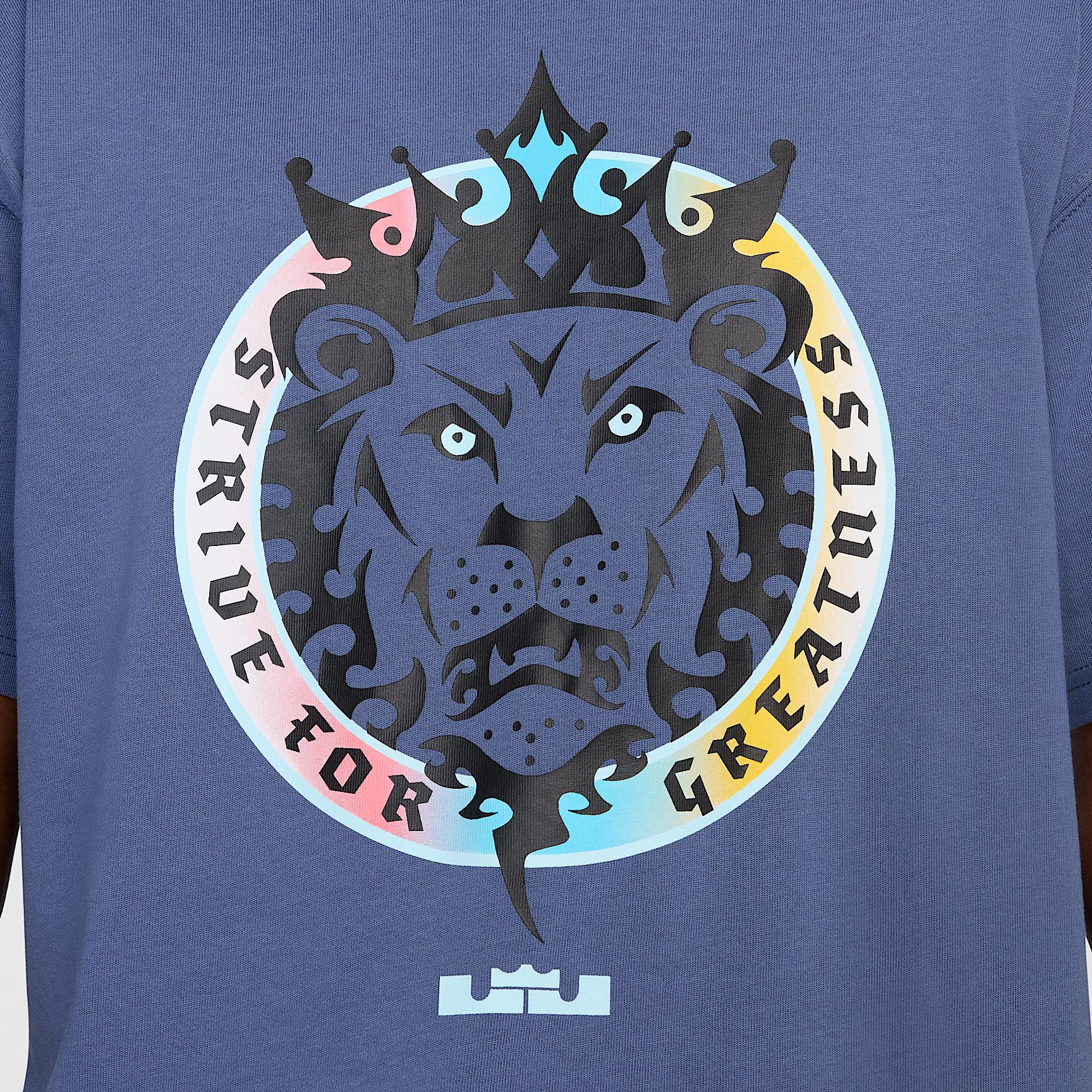 LeBron Men's Max90 Basketball T-Shirt Product Image