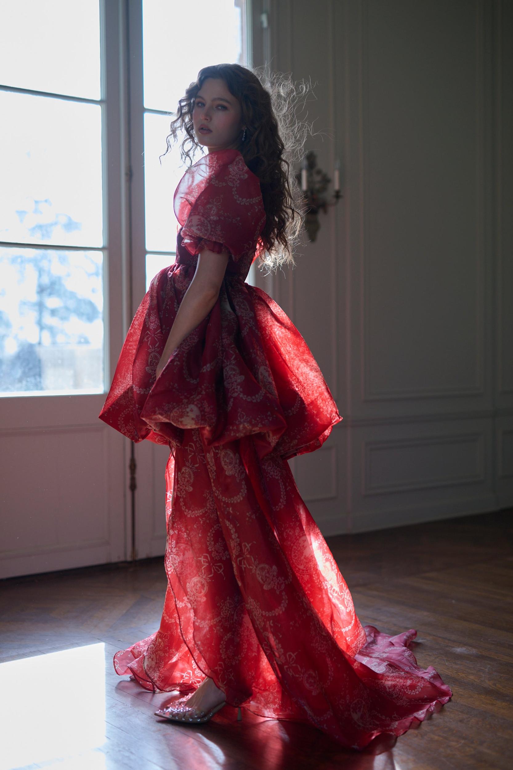The Ornament Fairytale Gown Product Image