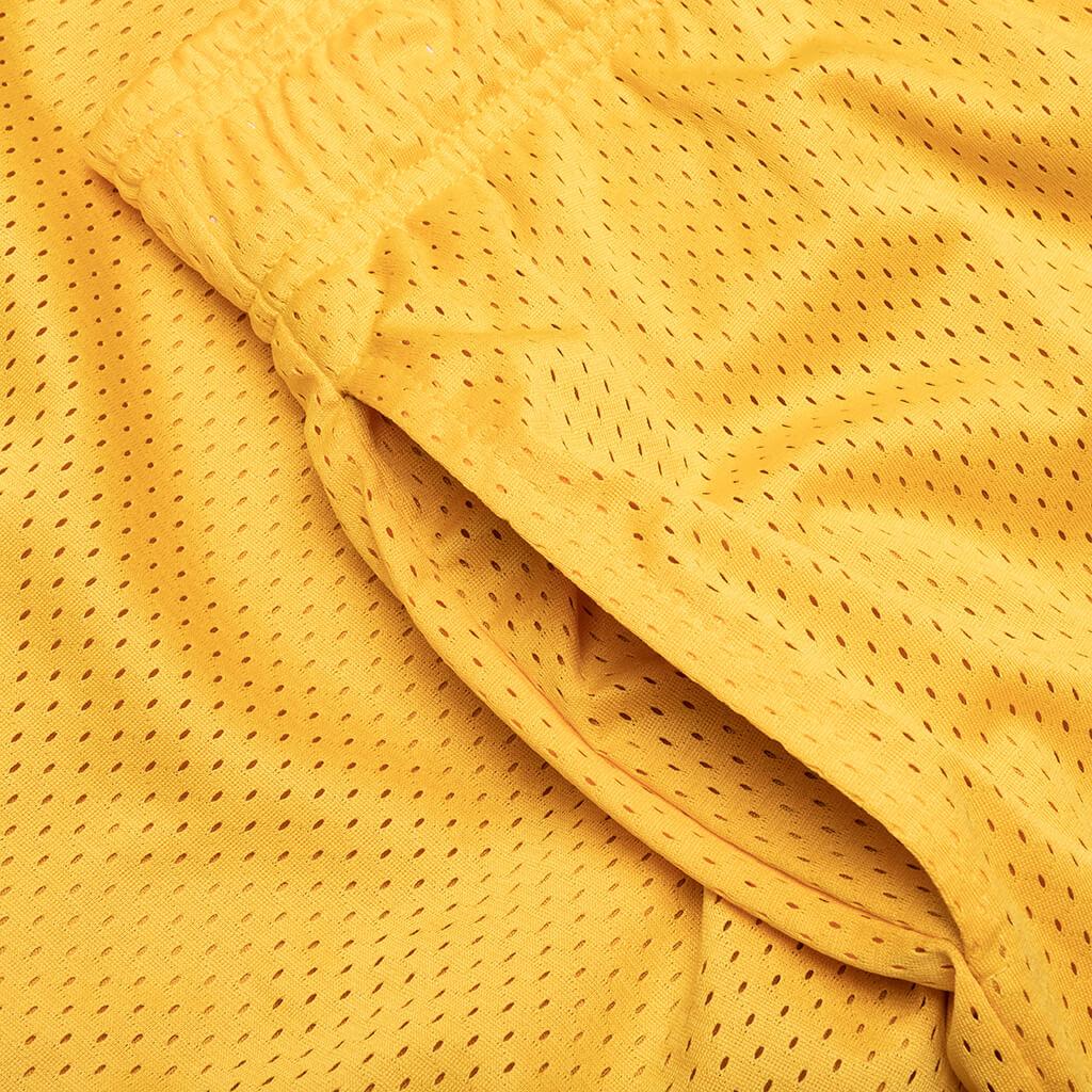 West Mesh Shorts - Purple Male Product Image