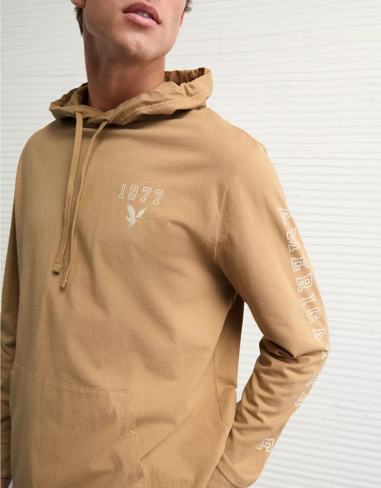 AE Icon Logo Graphic Hoodie T-Shirt Product Image