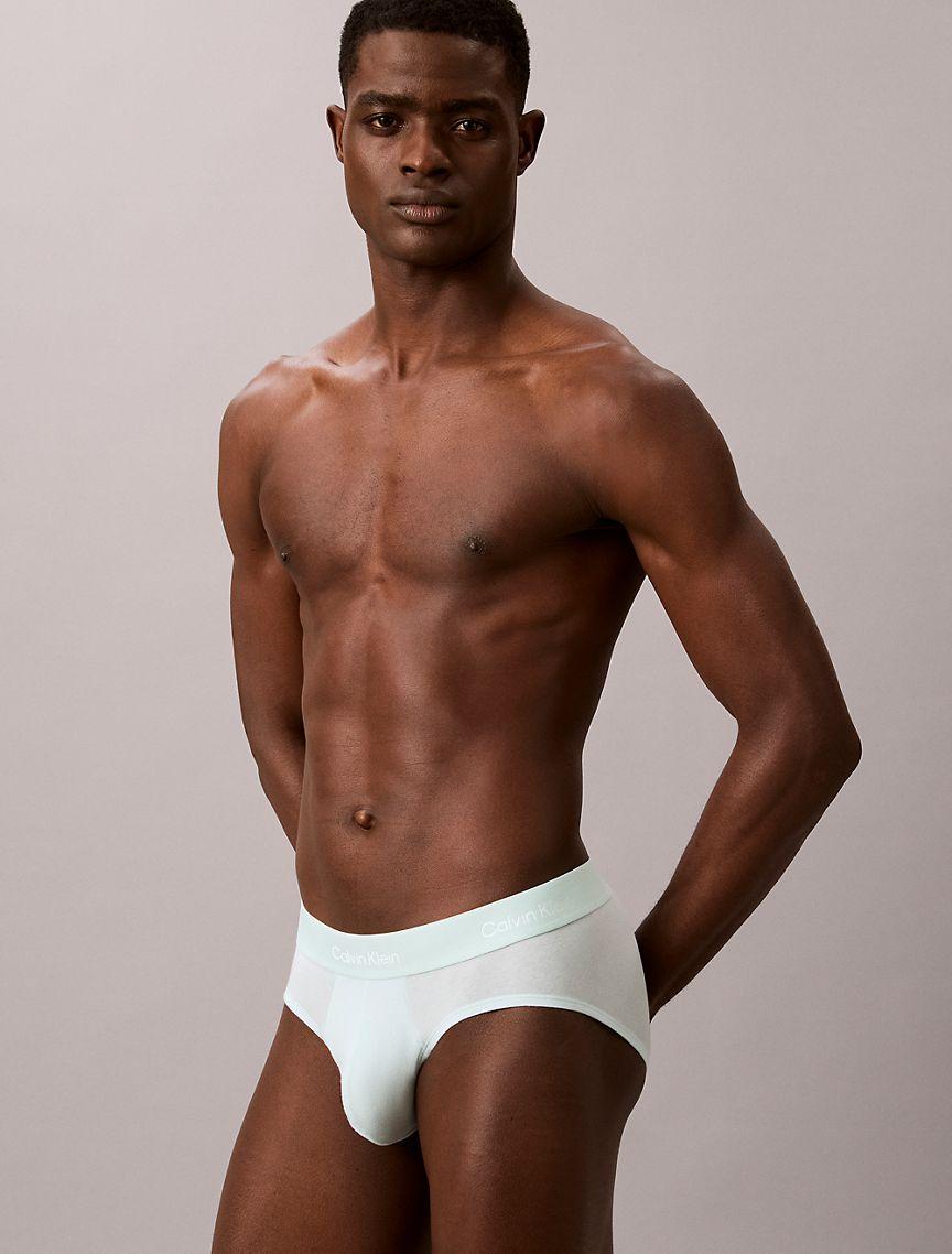 Icon Cotton Stretch 3-Pack Hip Brief Product Image