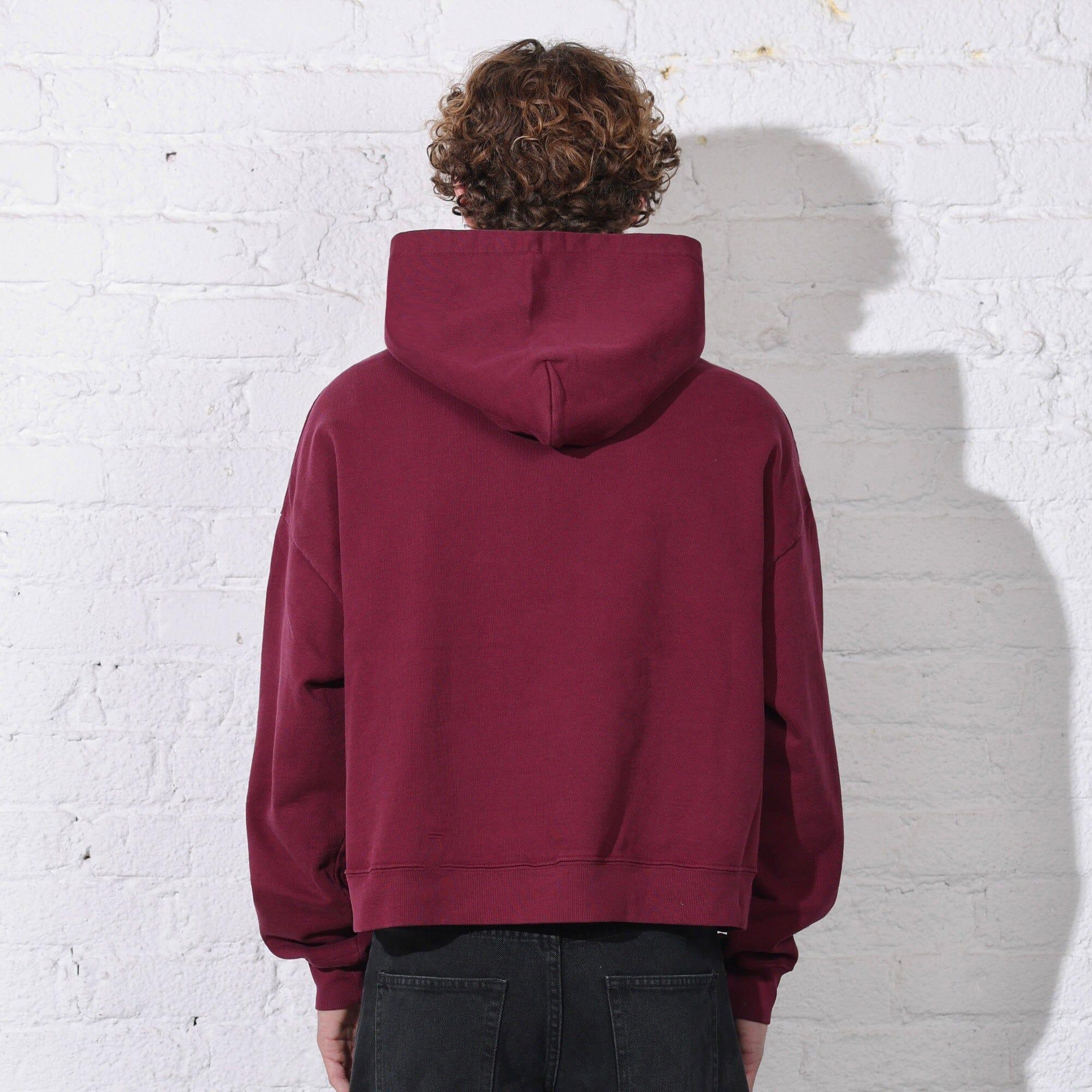 The Bowery Crop Hoodie Male Product Image