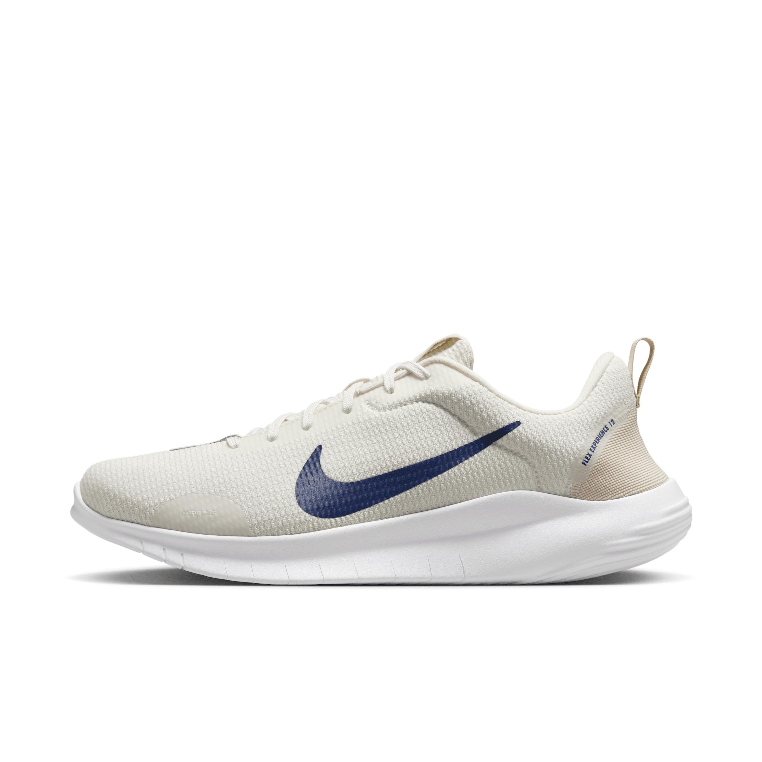 Nike Mens Flex Experience Run 12 Road Running Shoes | DV0740-103 Product Image