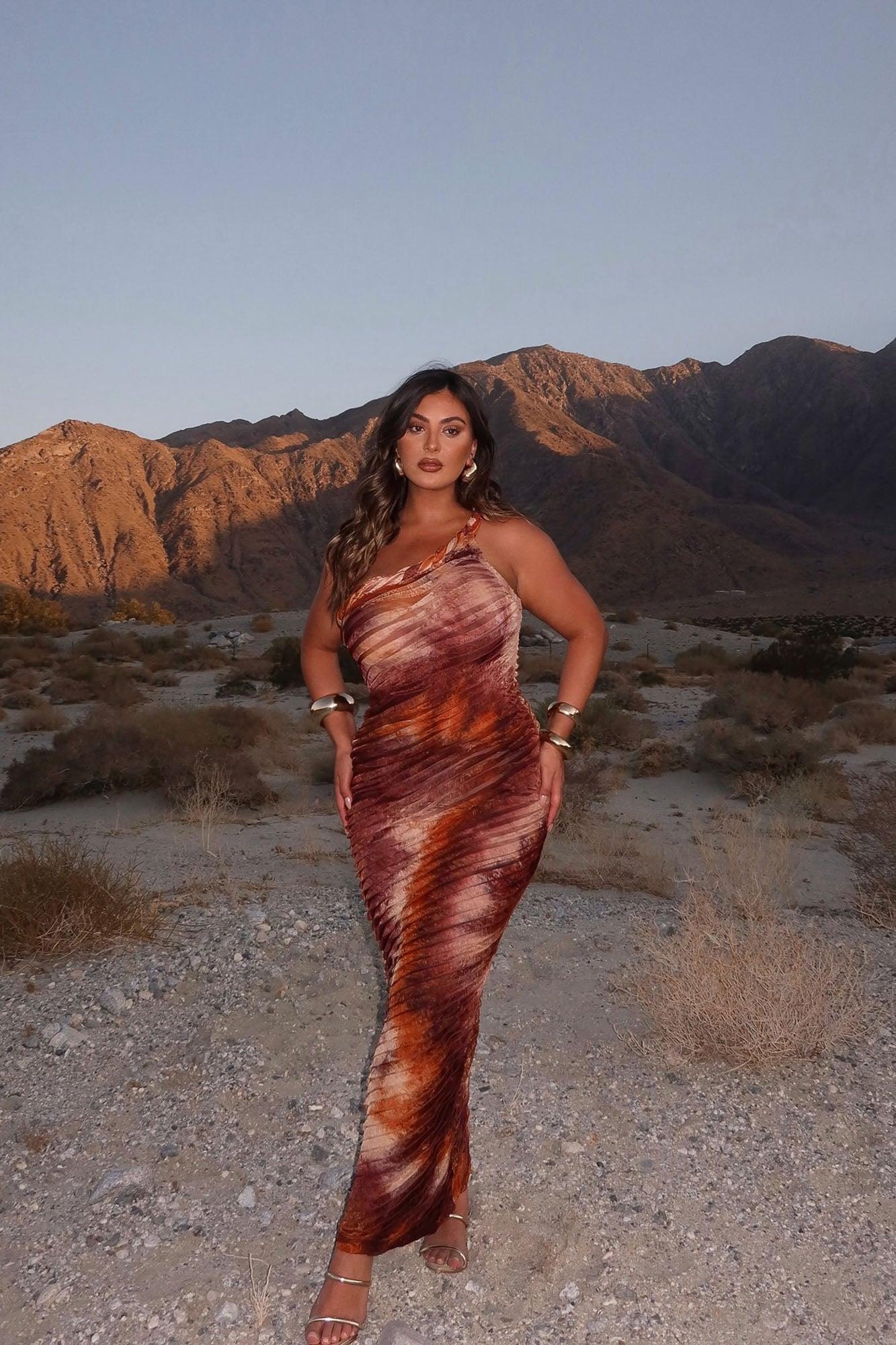 Maylee Textured Maxi Dress - Brown Combo Product Image