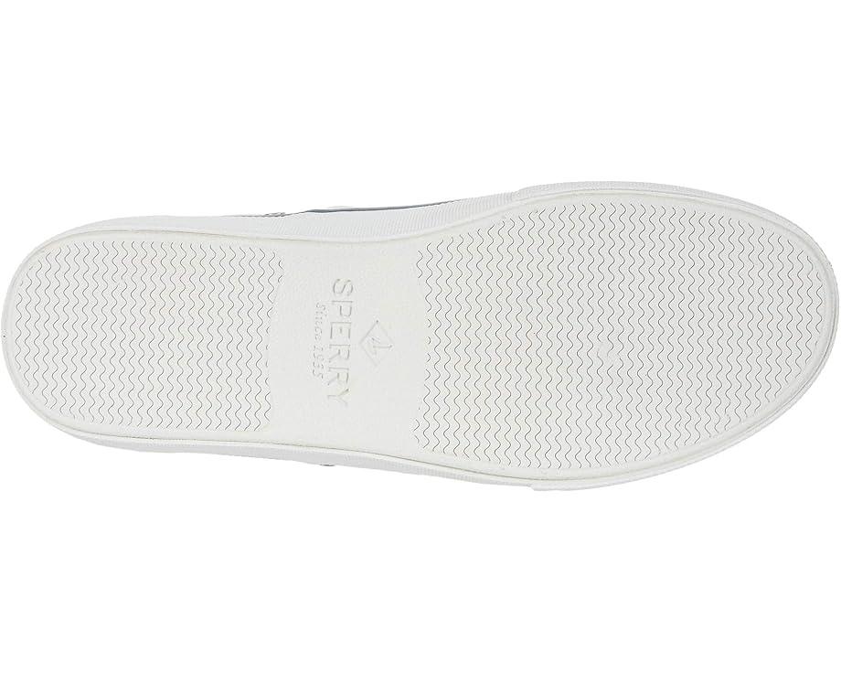 CVO Canvas Product Image