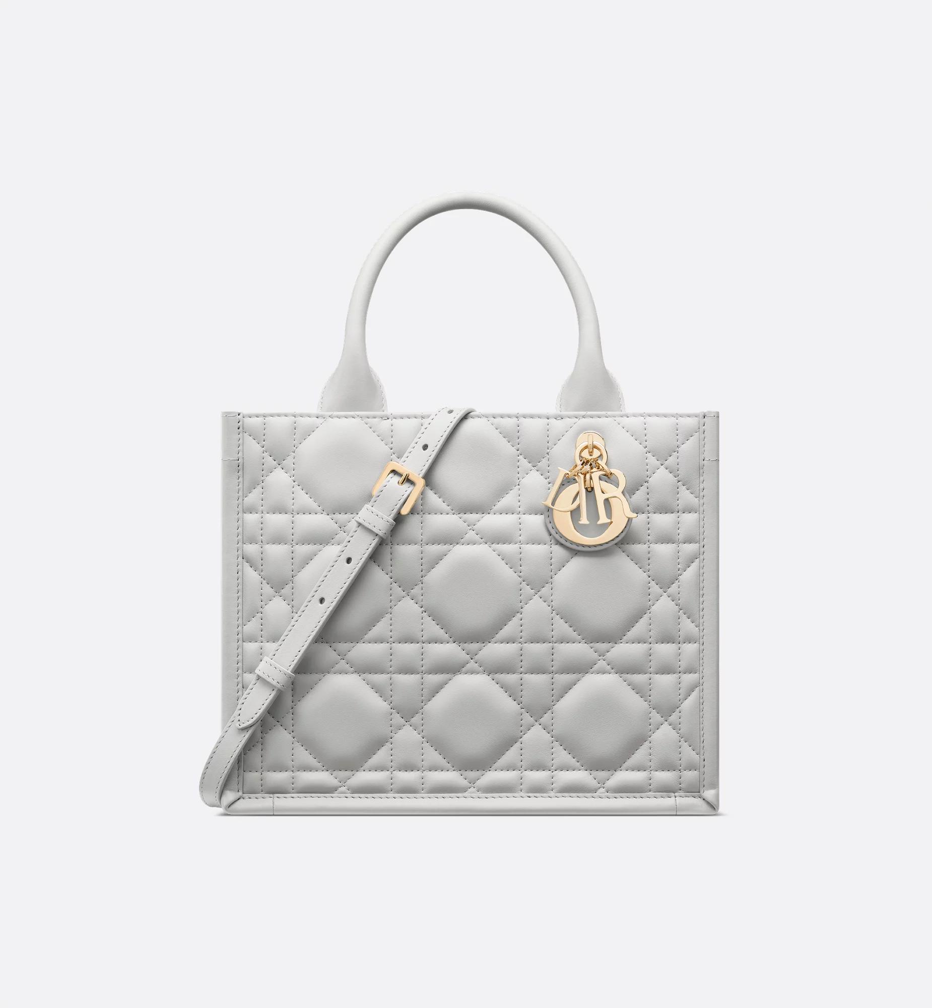 Small Dior Book Tote Product Image