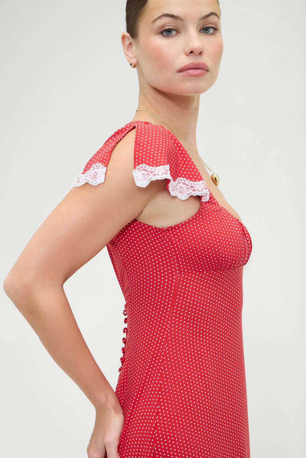 Rosalyn Polka Dot Maxi Dress - Ladybug Product Image