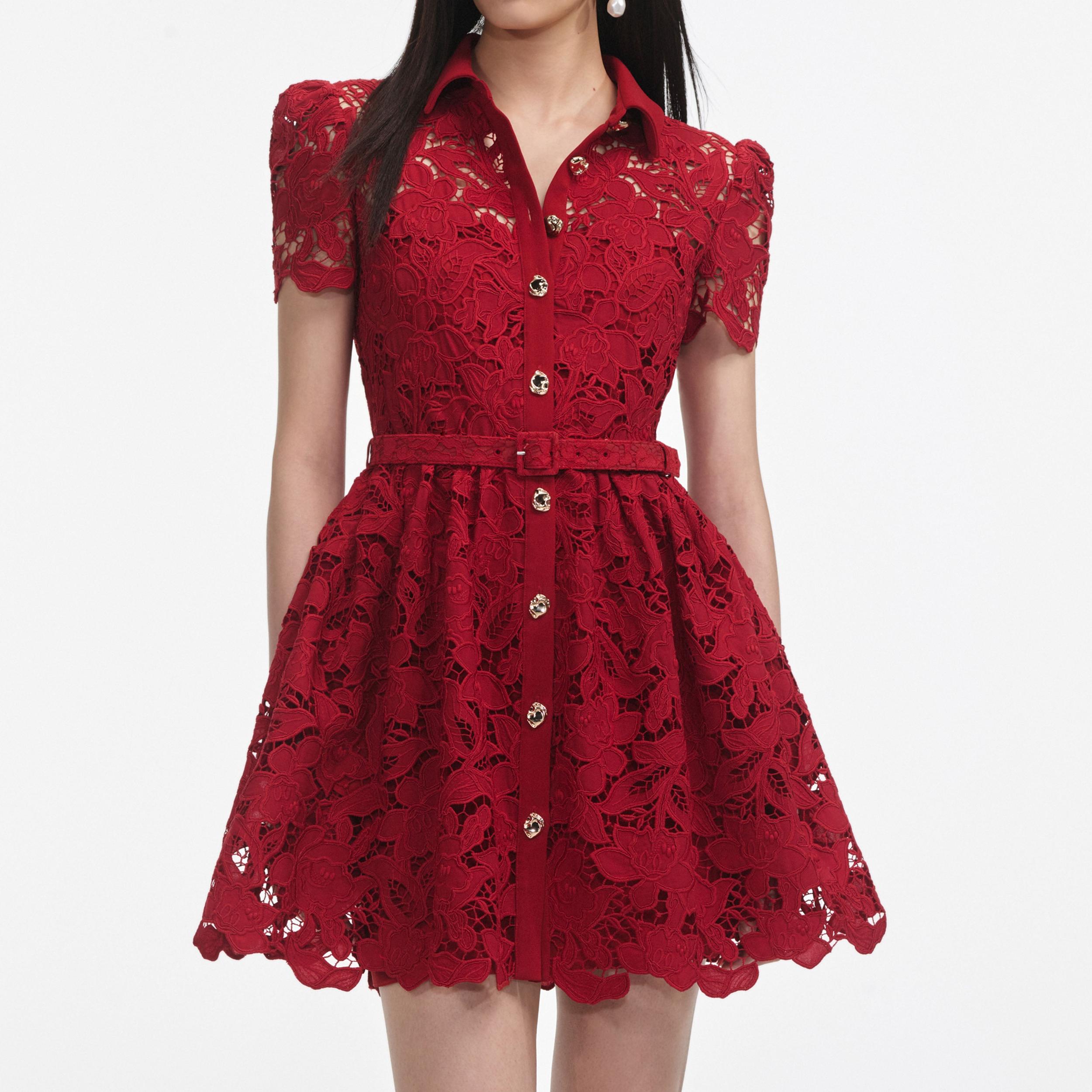 Burgundy Lace Collared Mini Dress Product Image