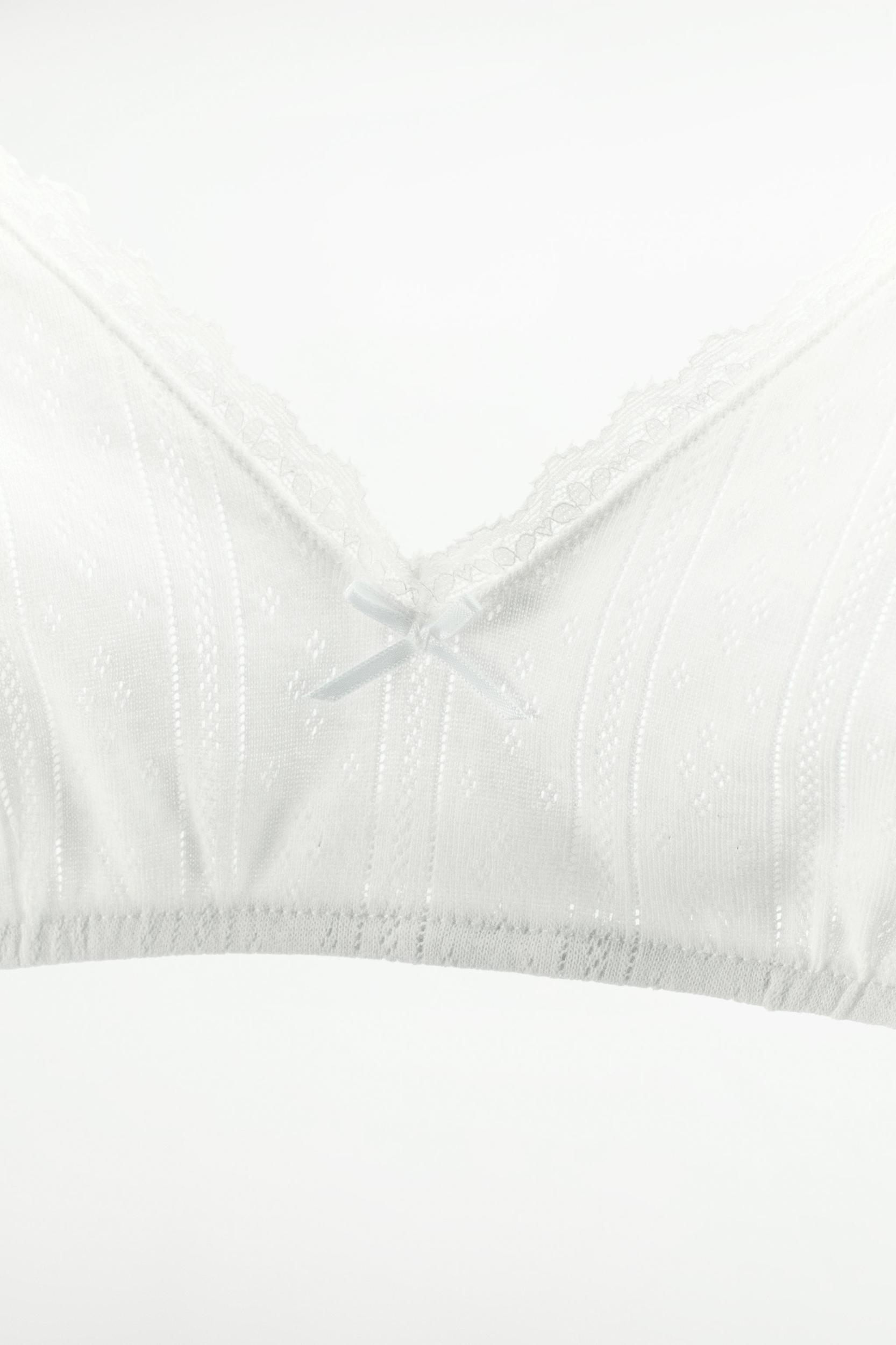 LACE TRIM POINTELLE BRA Product Image