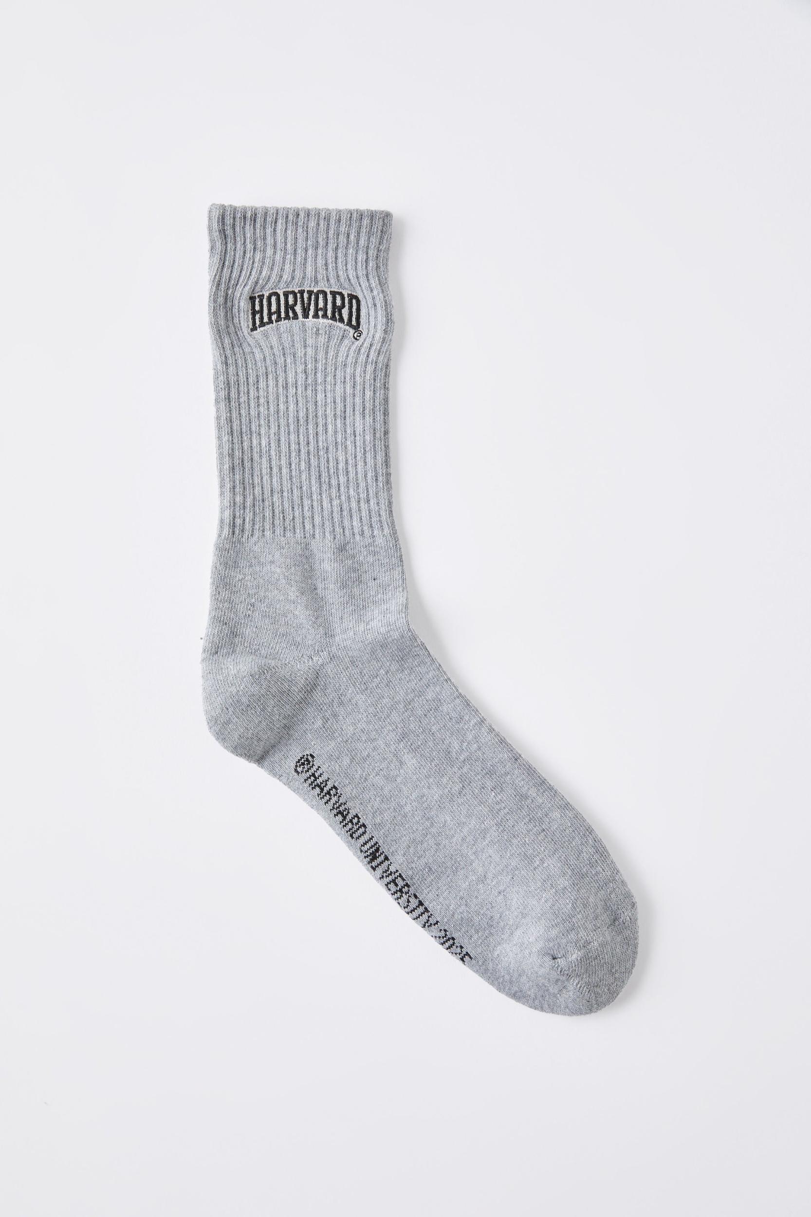 Cotton On Men - Harvard Special Edition Sock Product Image