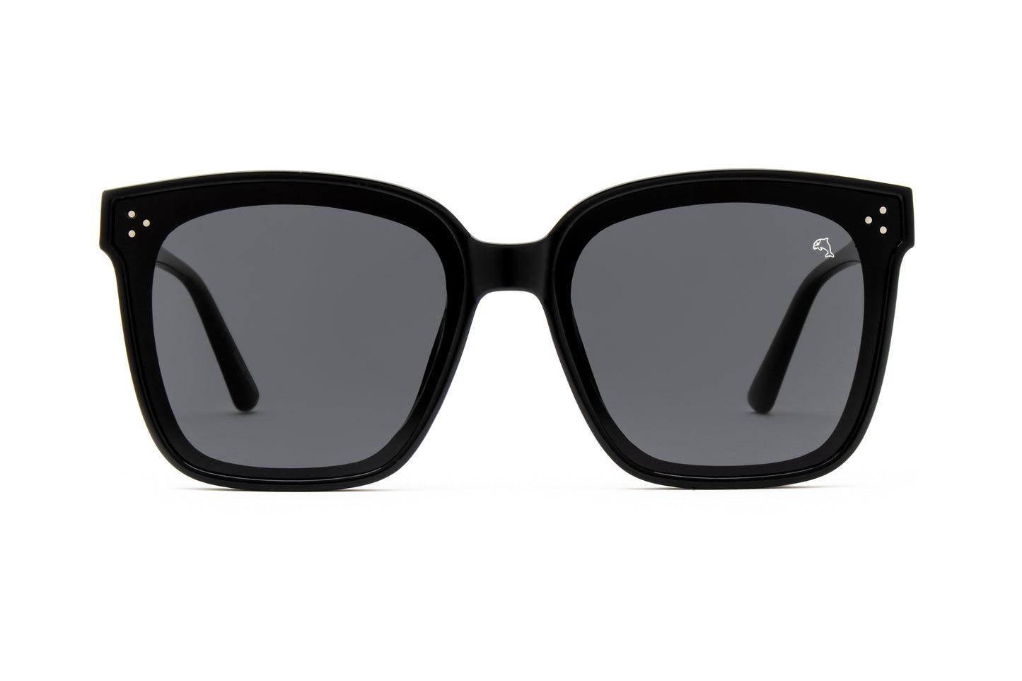 Biscayners Warren Black Sunglasses Unisex Product Image