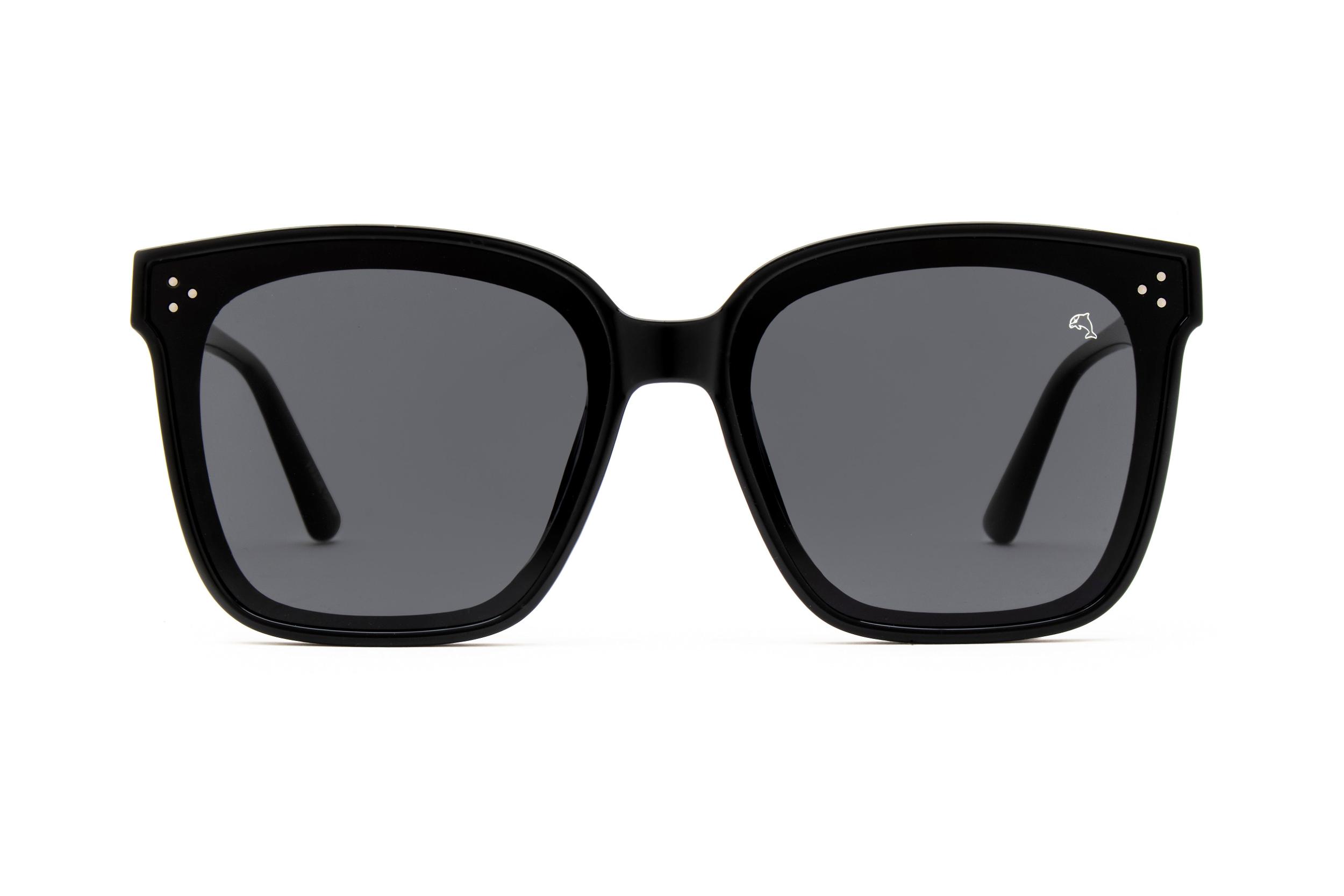 Biscayners Warren Black Sunglasses Unisex Product Image