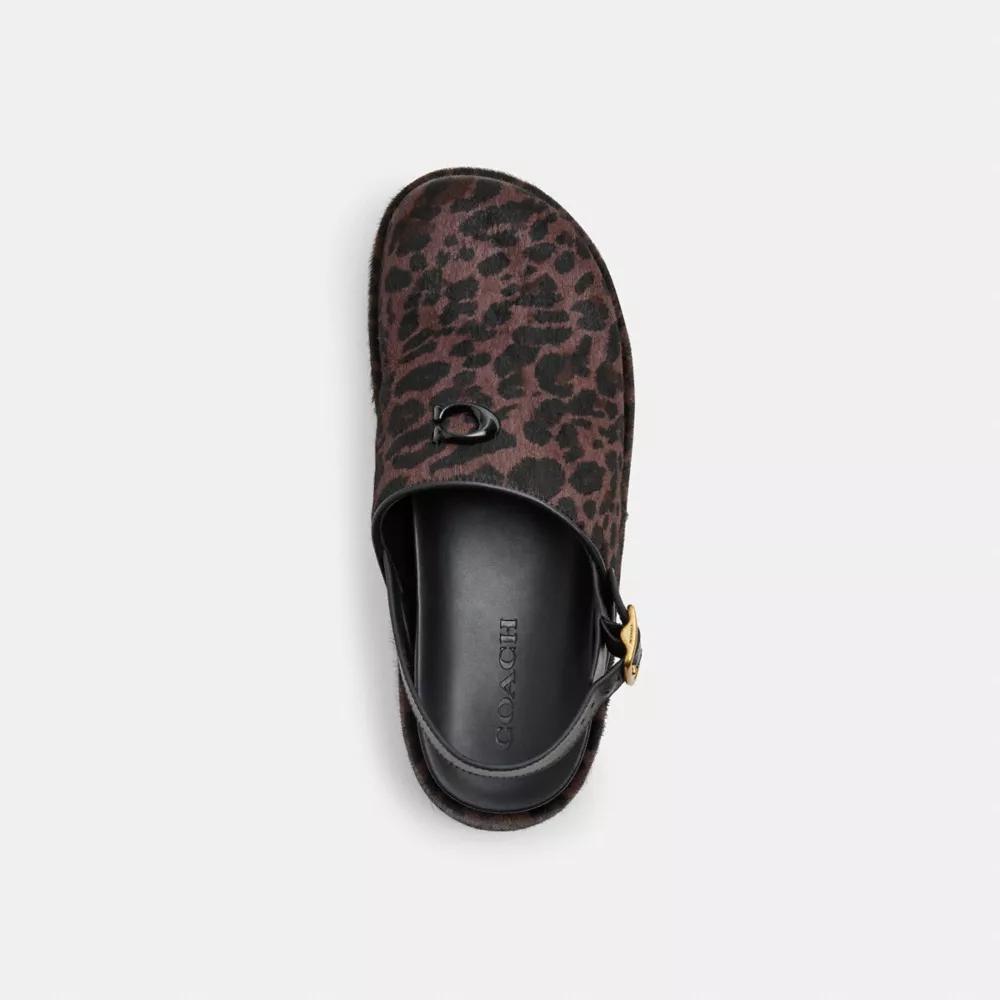Sculpted C Platform Clog With Leopard Print Product Image