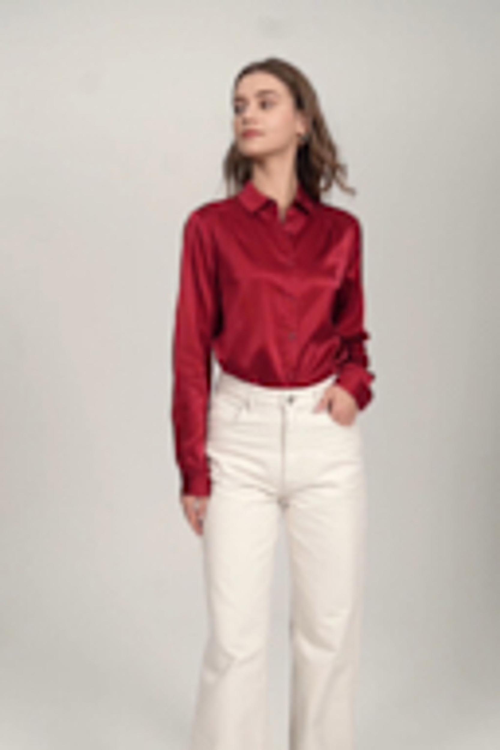 Long Sleeves Collared Silk Blouse Product Image