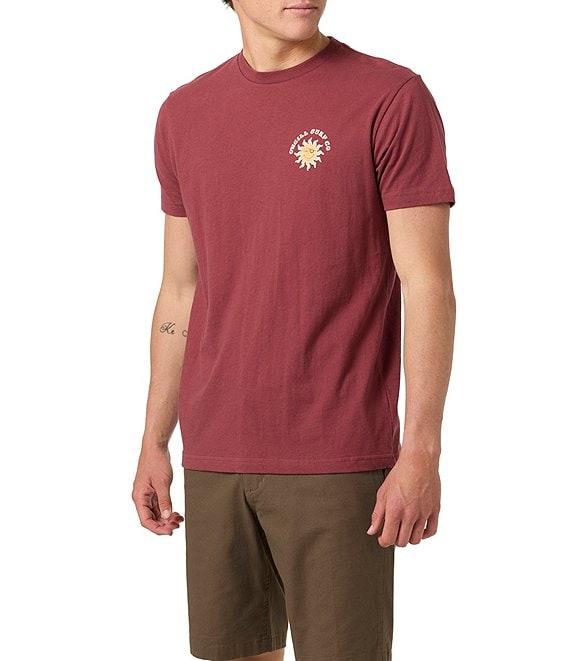 O'Neill Bright Side Short Sleeve T-Shirt Product Image
