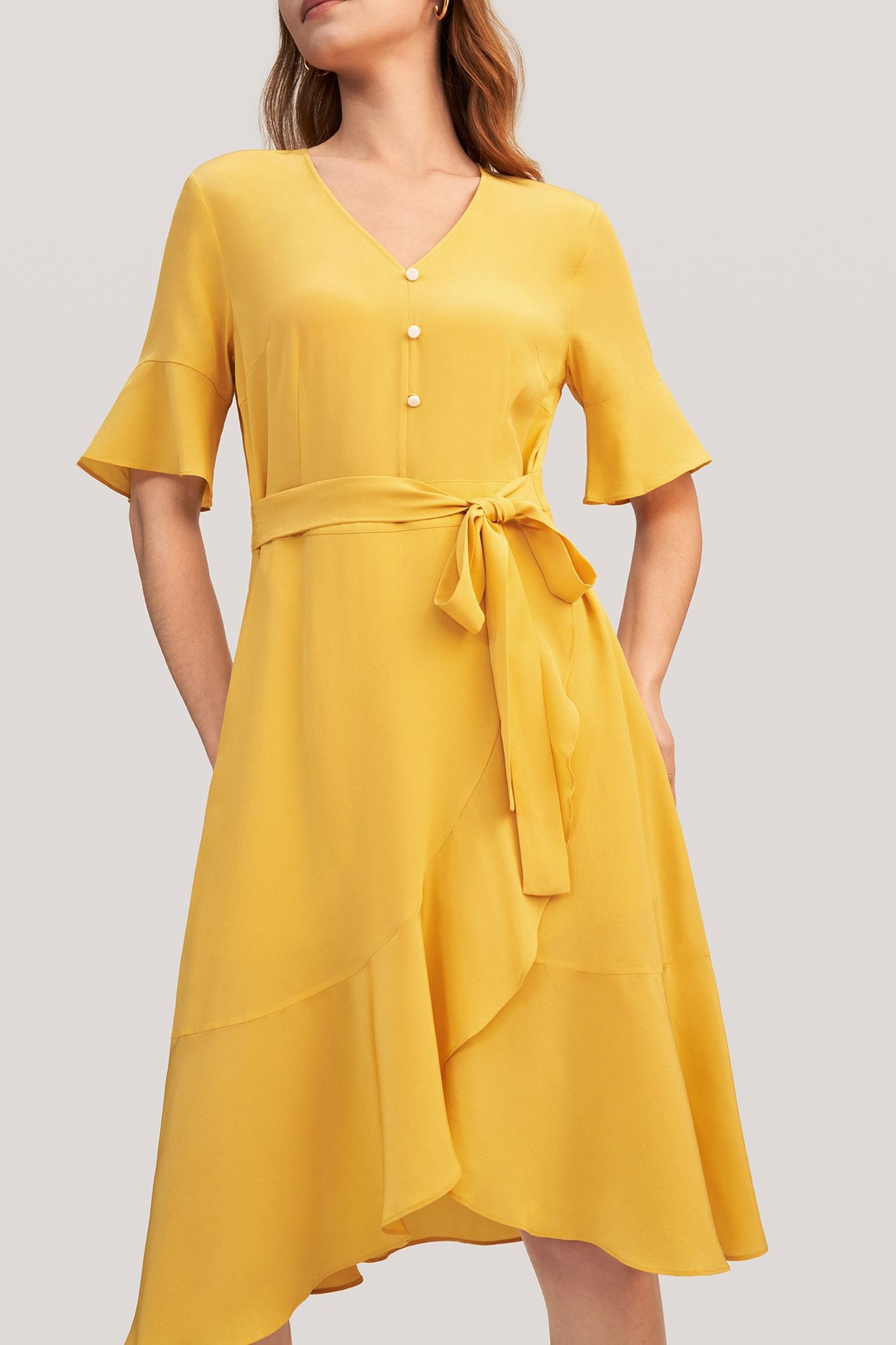 Ruffle Trim V Neck  Silk Dress Product Image