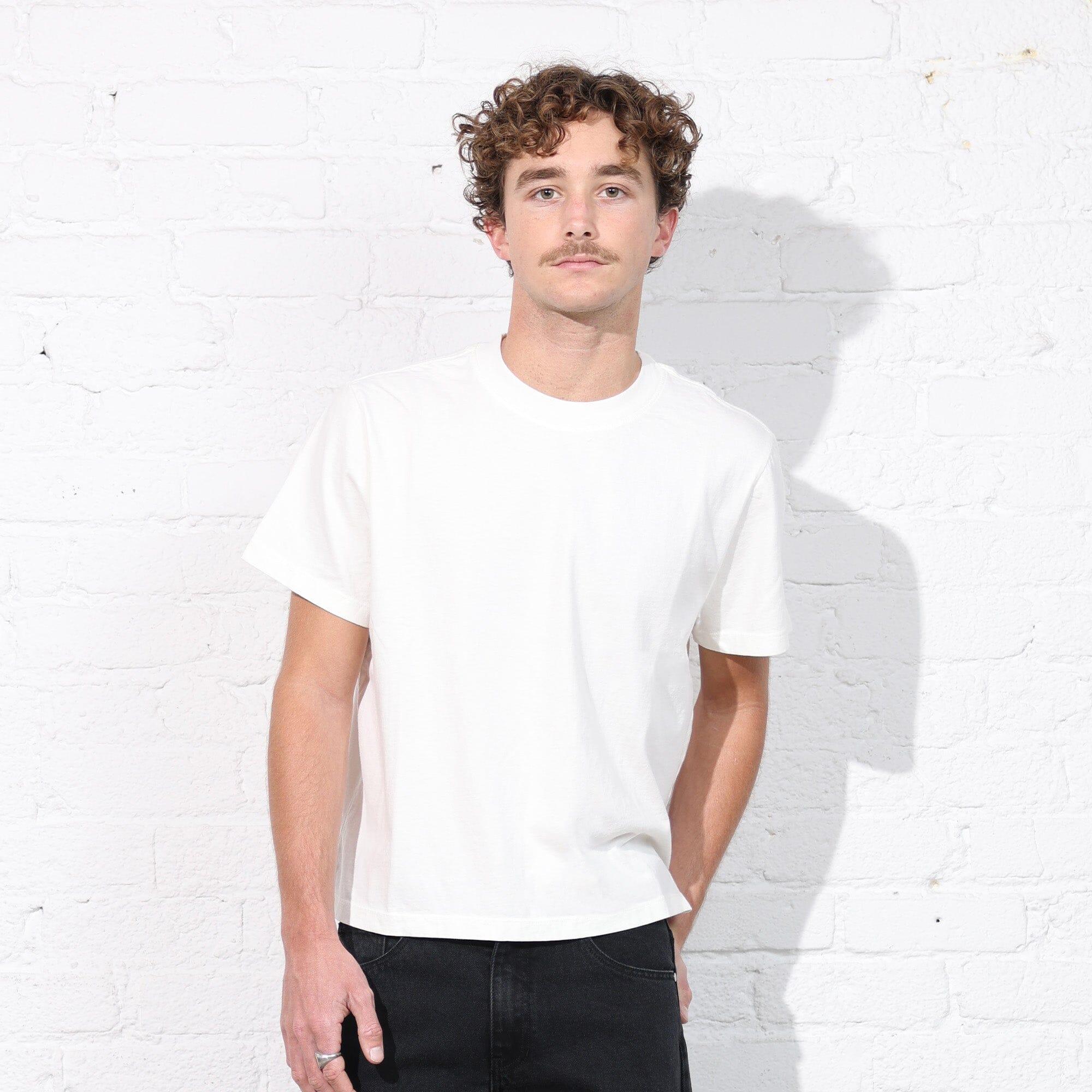 Silverlake Crop Tee II Product Image