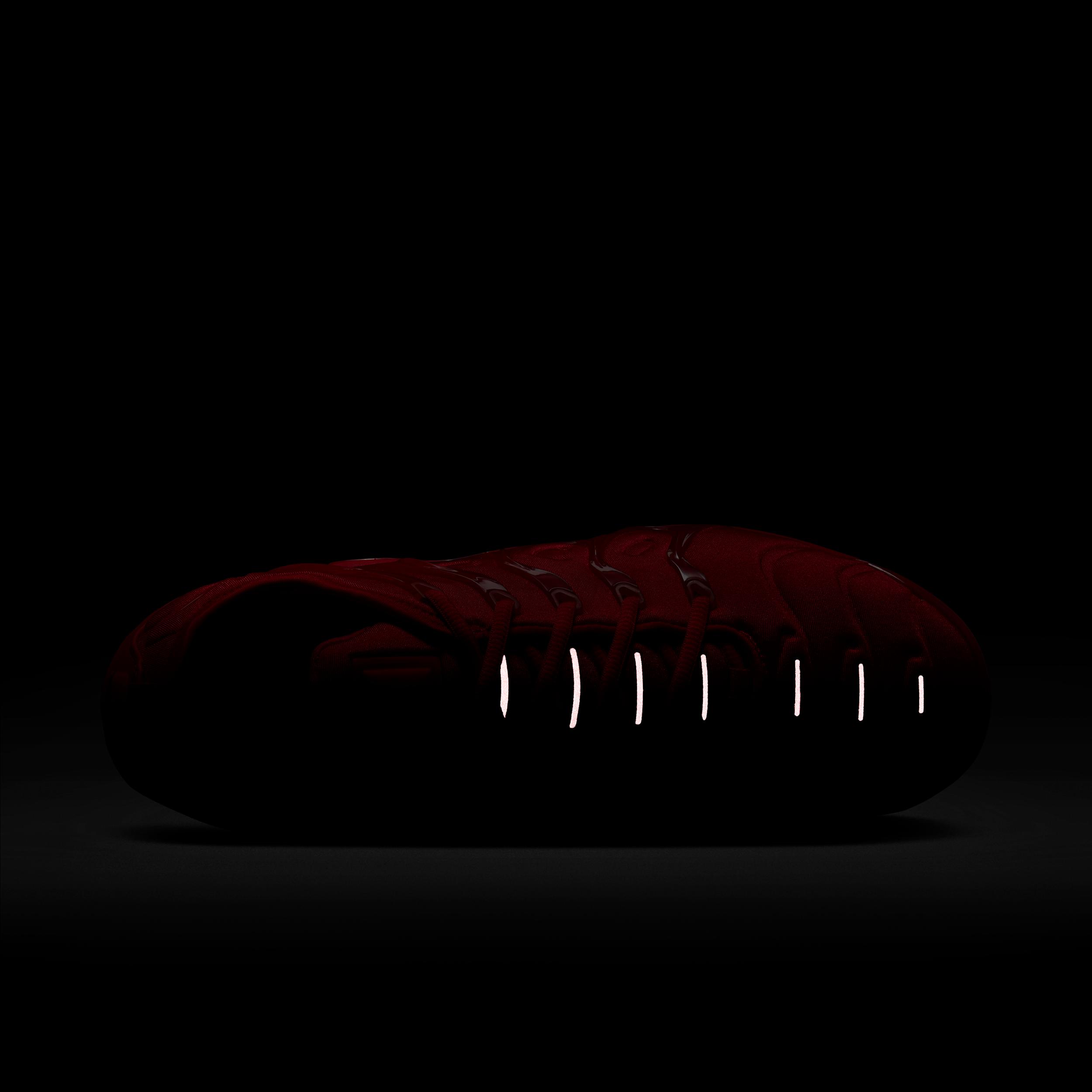 Nike Mens Air VaporMax Plus Shoes | CW6973-600 Product Image