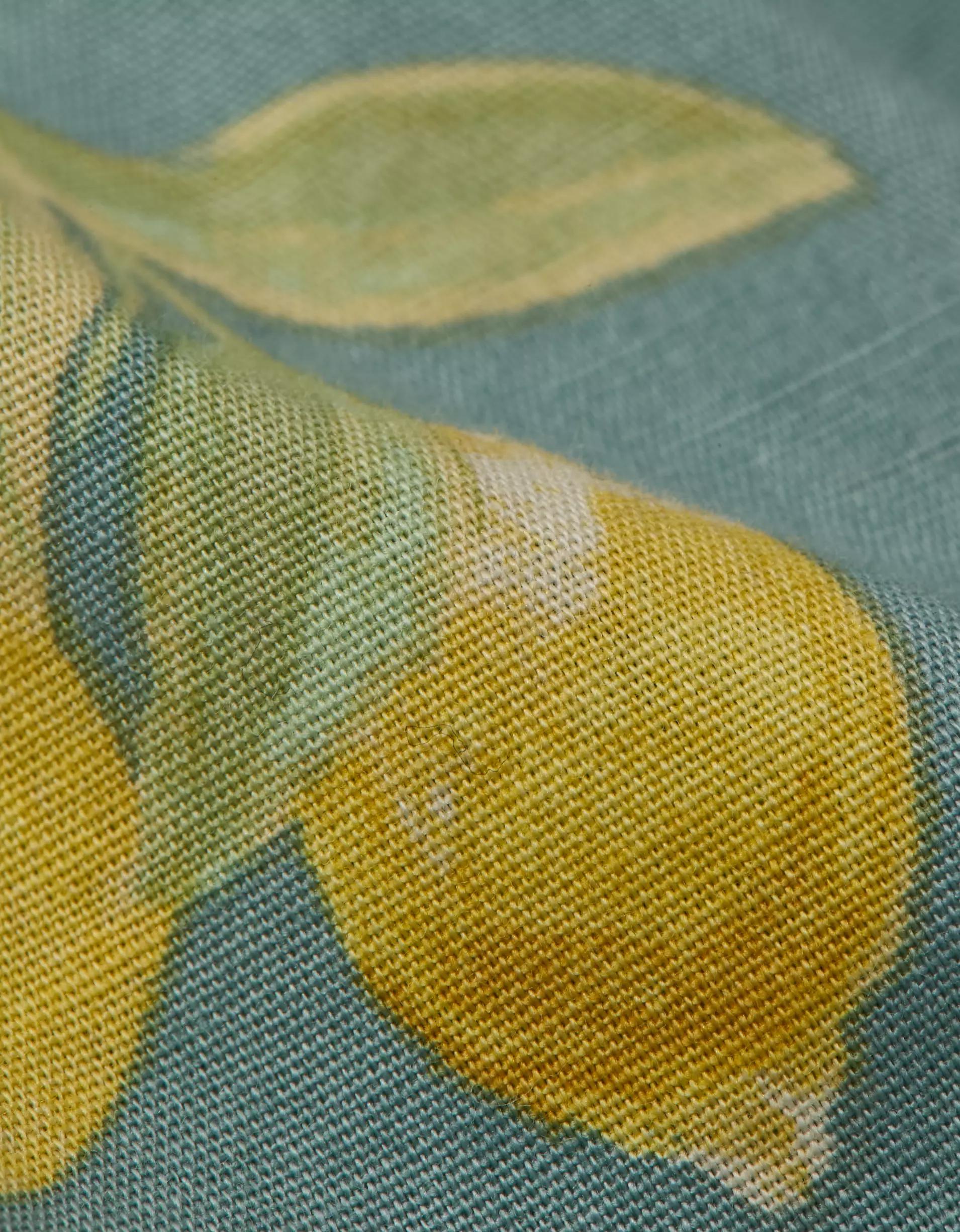 AEO Men's Lemons Poplin Pocket Boxer Short Product Image