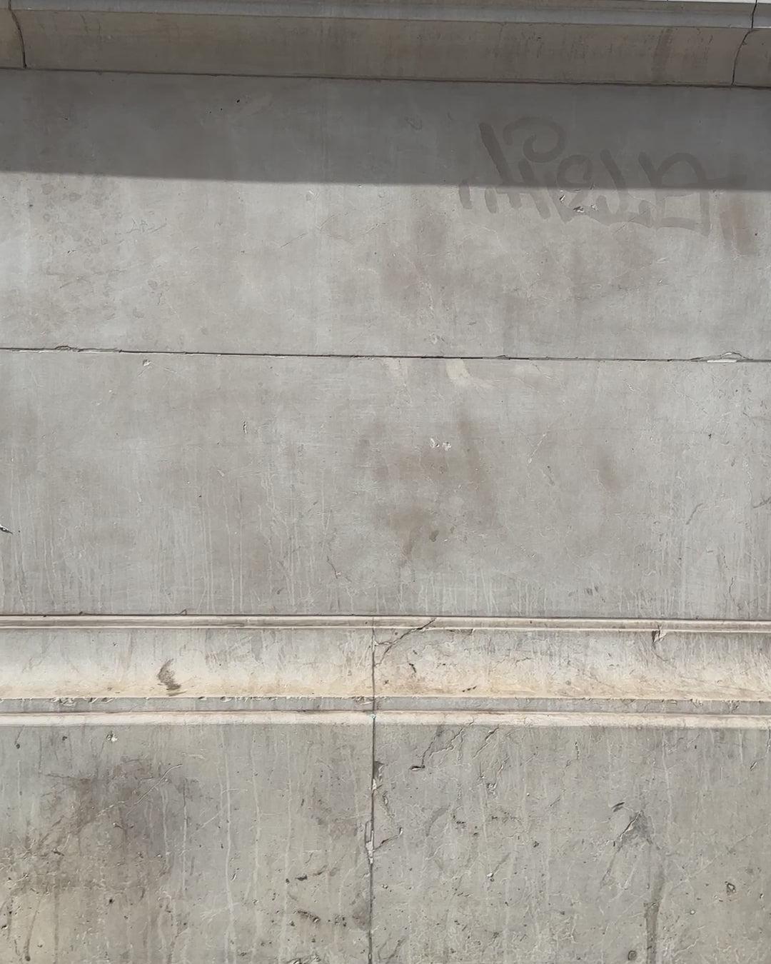 Ina Pleated Pant In Summer Twill Product Image