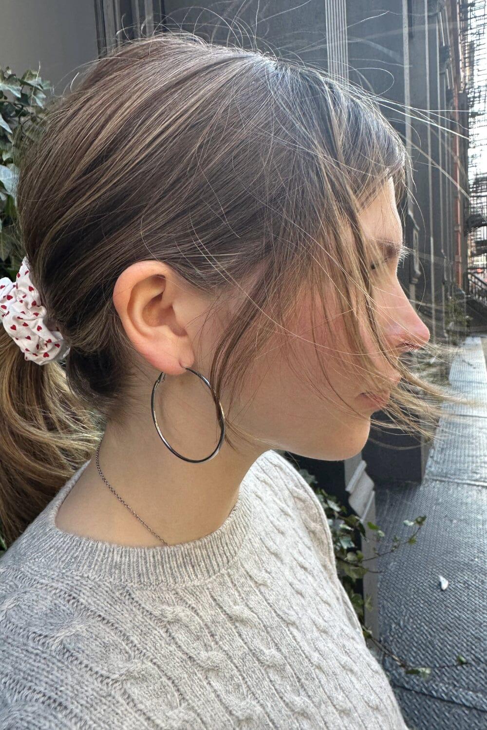 Hoop Earrings Product Image