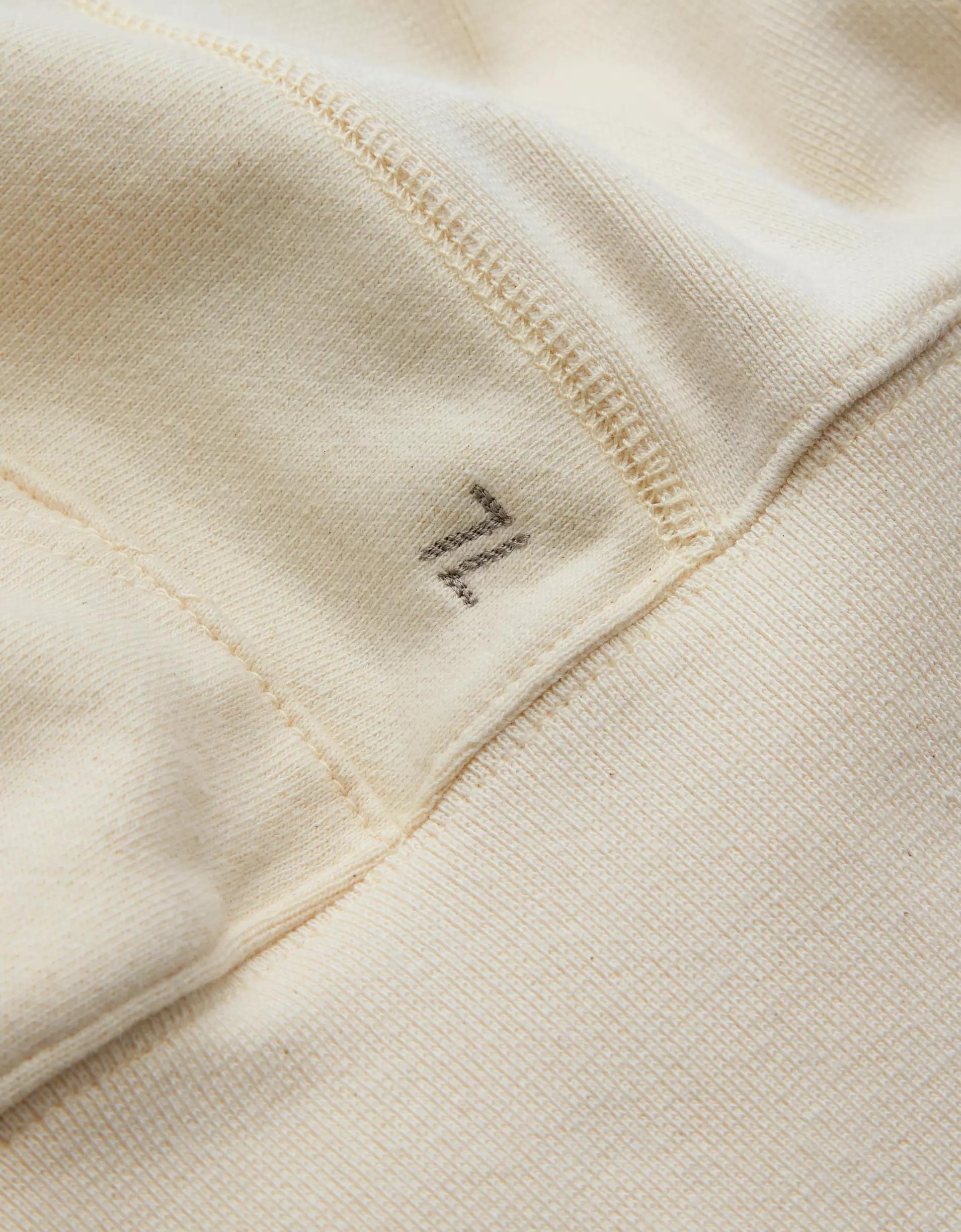 AE77 Premium Fleece Hoodie Product Image