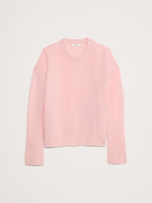 SHAD SWEATSHIRT Female Product Image