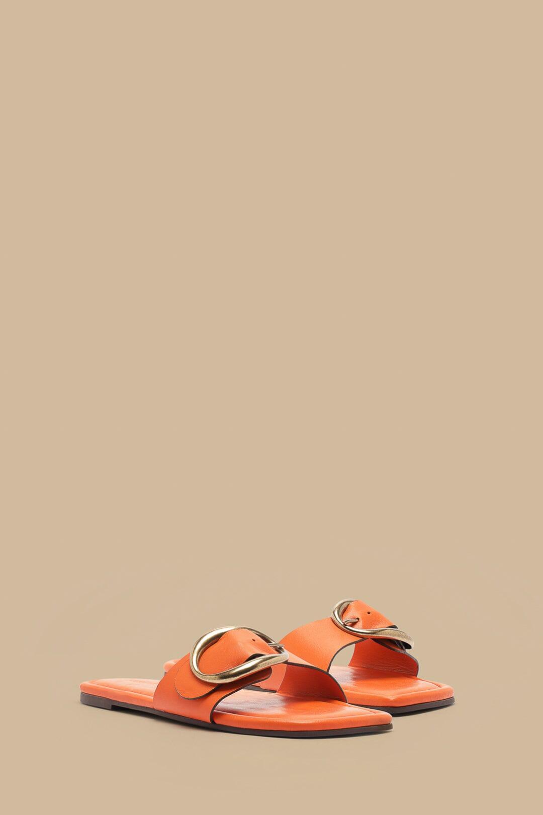 Citrus Organic Buckle Flat Sandal Product Image