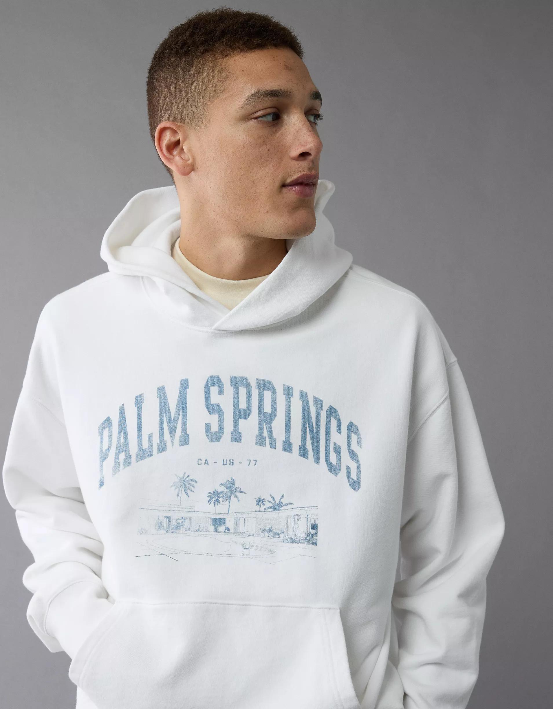 AE Destination Graphic Hoodie Product Image