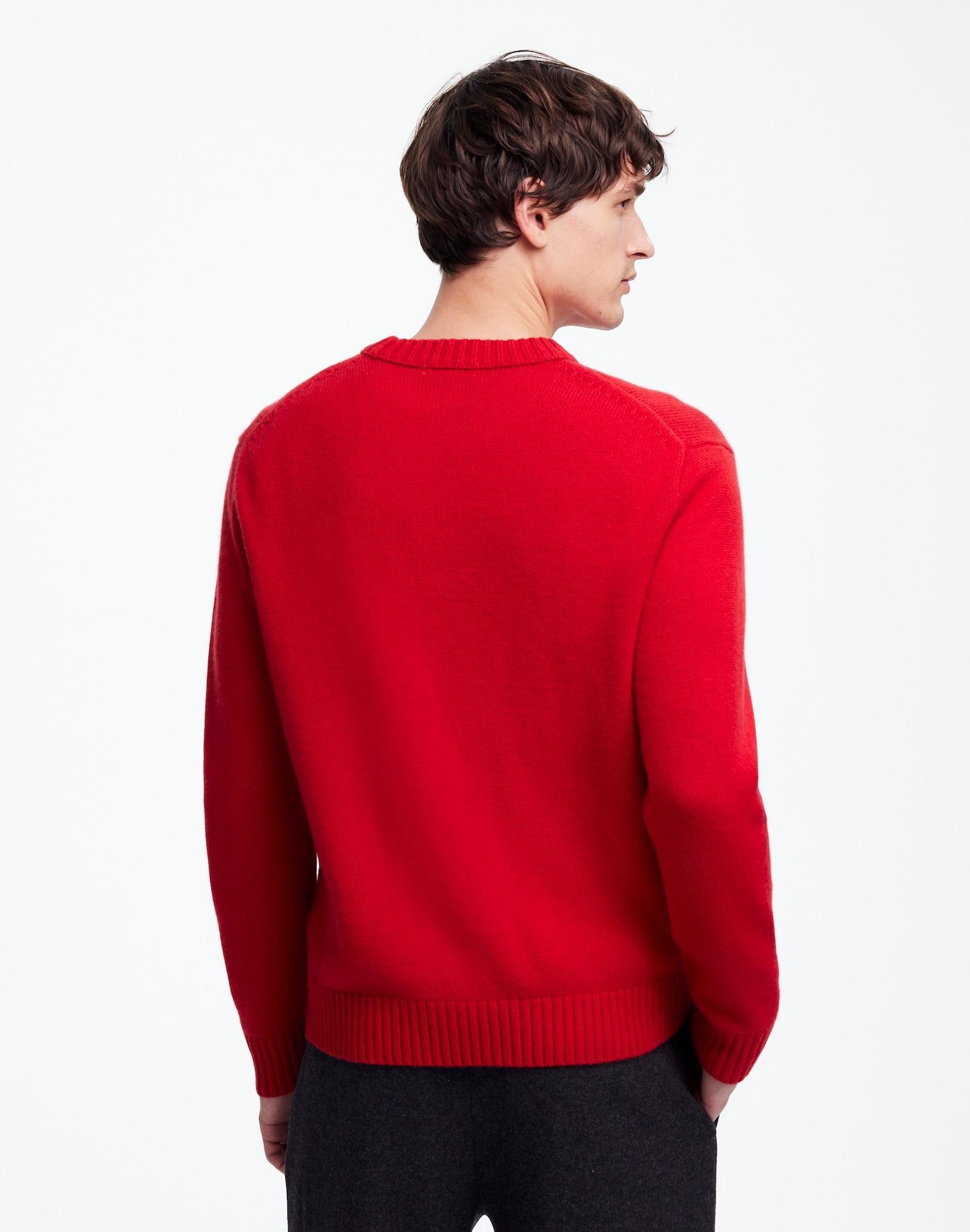 Crewneck Sweater in SoftWool Product Image