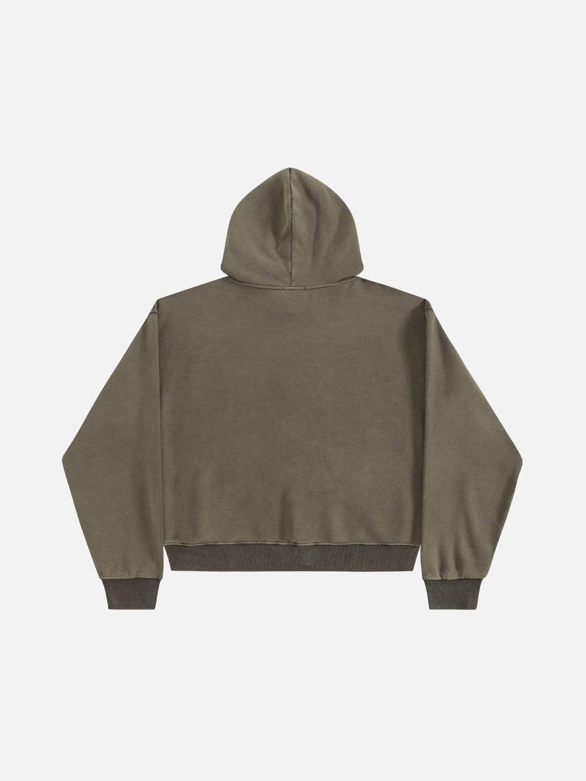 Aelfric Eden Embroidery Washed Pullover Hoodie Product Image