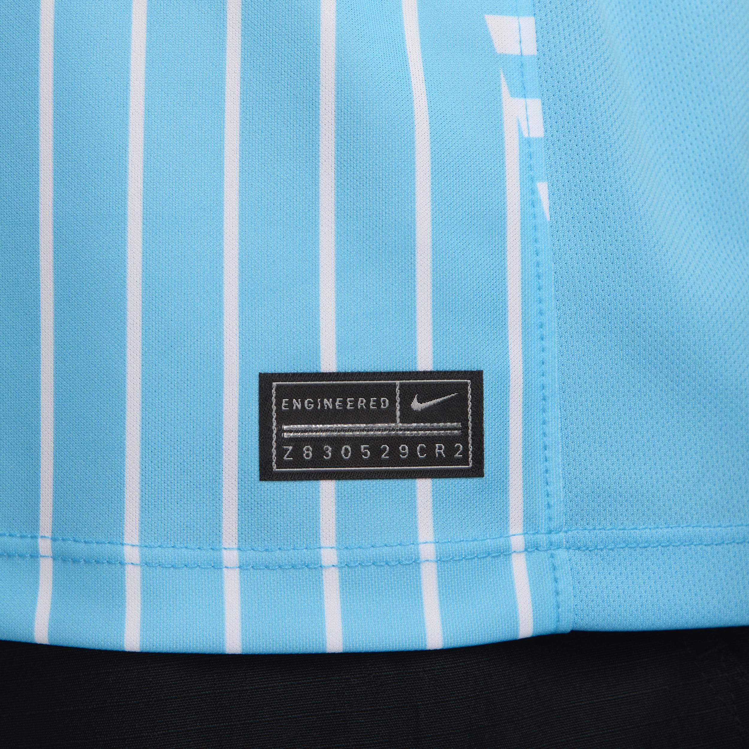 Chicago Red Stars 2024 Stadium Primary Nike Mens Dri-FIT NWSL Replica Jersey | P35268J534-CHI Product Image