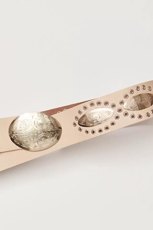 Sterling Hip Belt Product Image