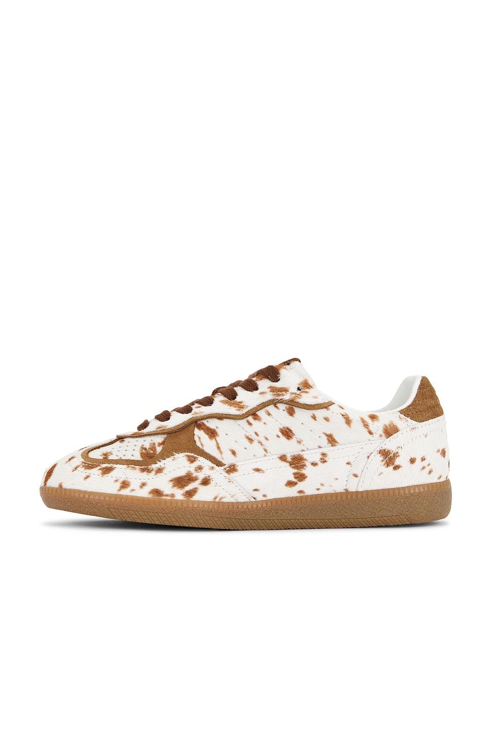 Tb.490 Rife Sneaker ALOHAS Product Image