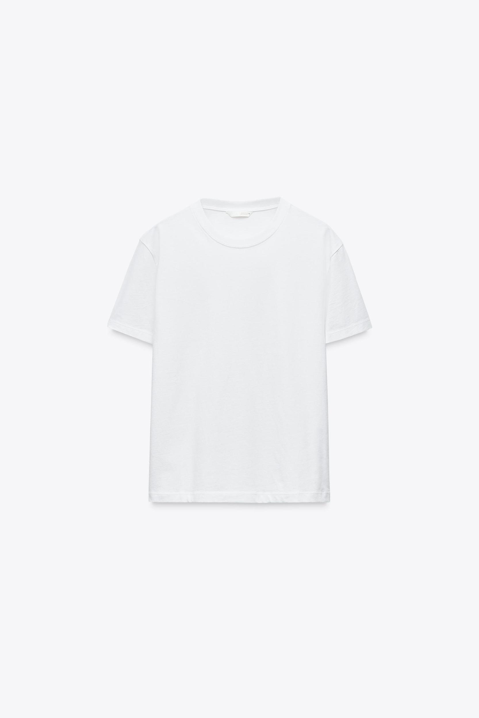 BASIC COTTON T-SHIRT Product Image