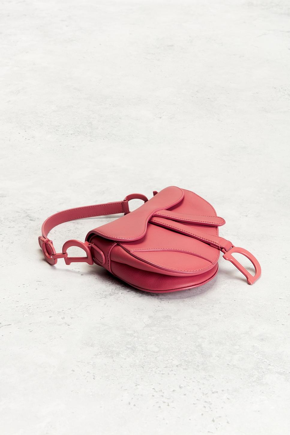 Dior Mini Saddle Bag FWRD Renew Product Image