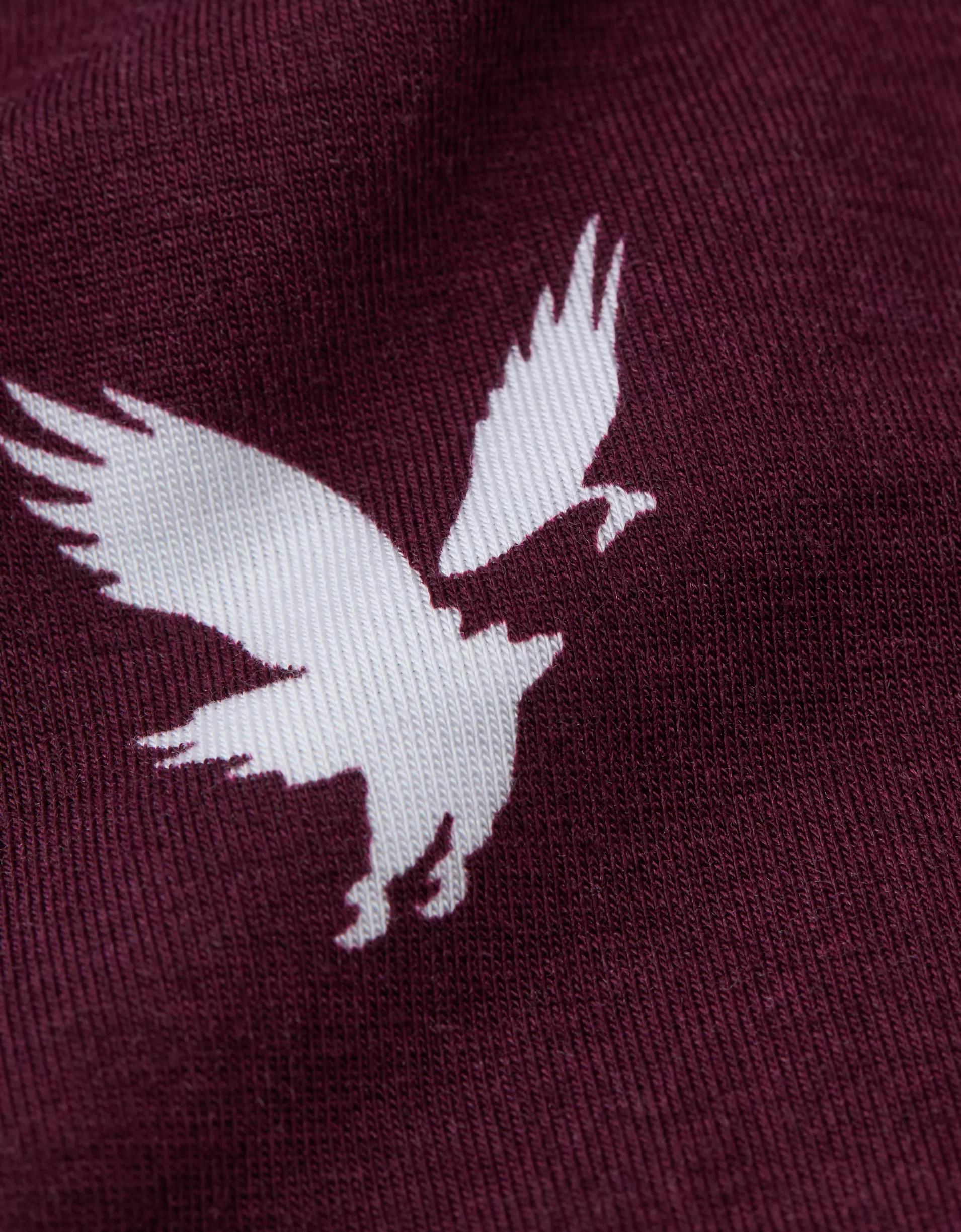 AEO Men's Eagles Slim Knit Ultra Soft Boxer Short Product Image