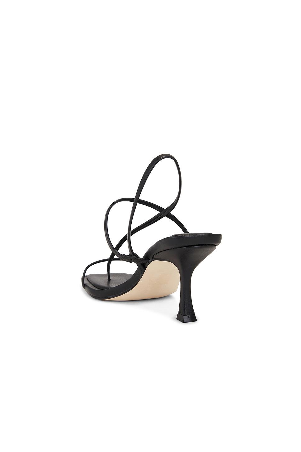 Locke Heel Steve Madden Product Image