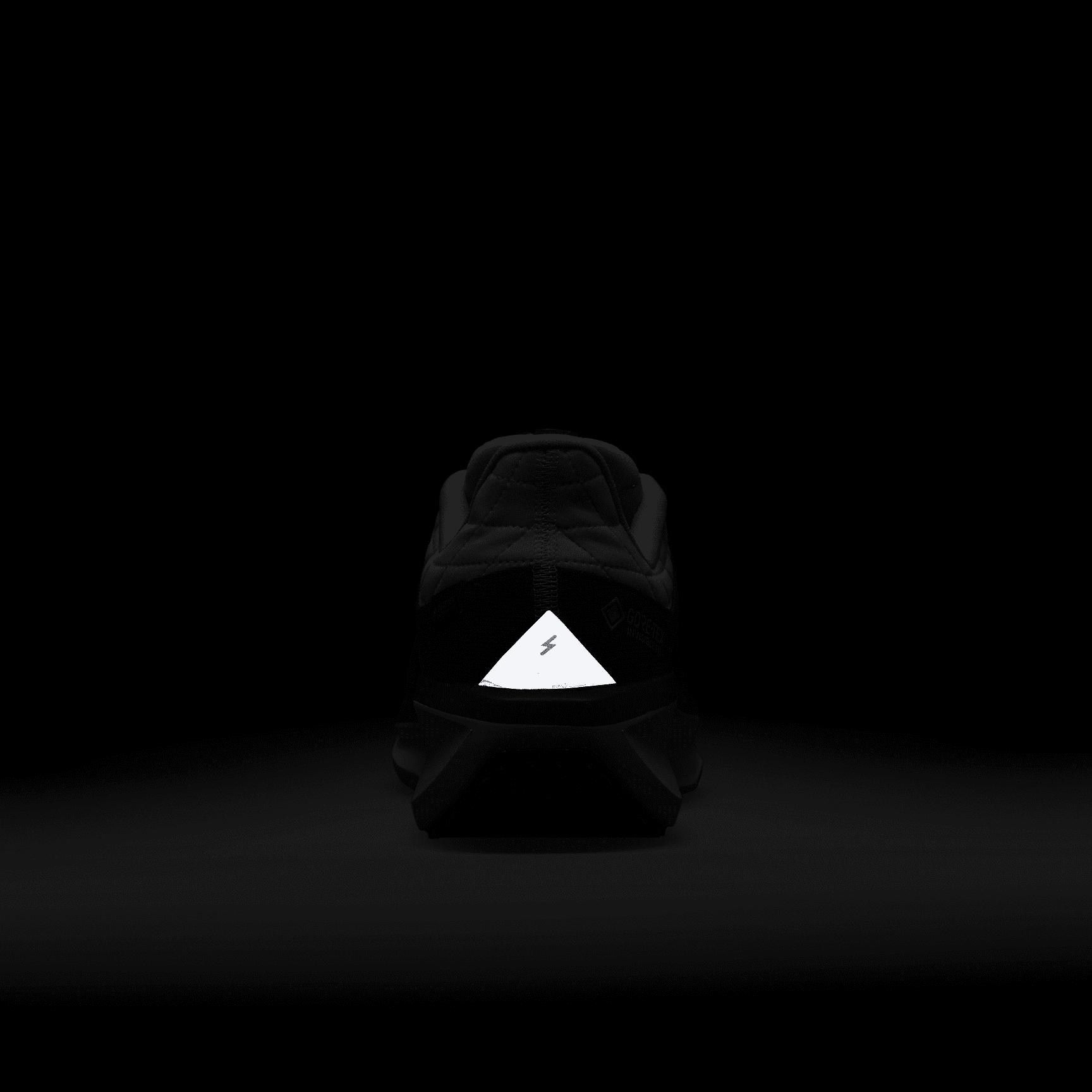 Nike Mens Winflo 11 GORE-TEX Waterproof Road Running Shoes | FQ1358-001 Product Image