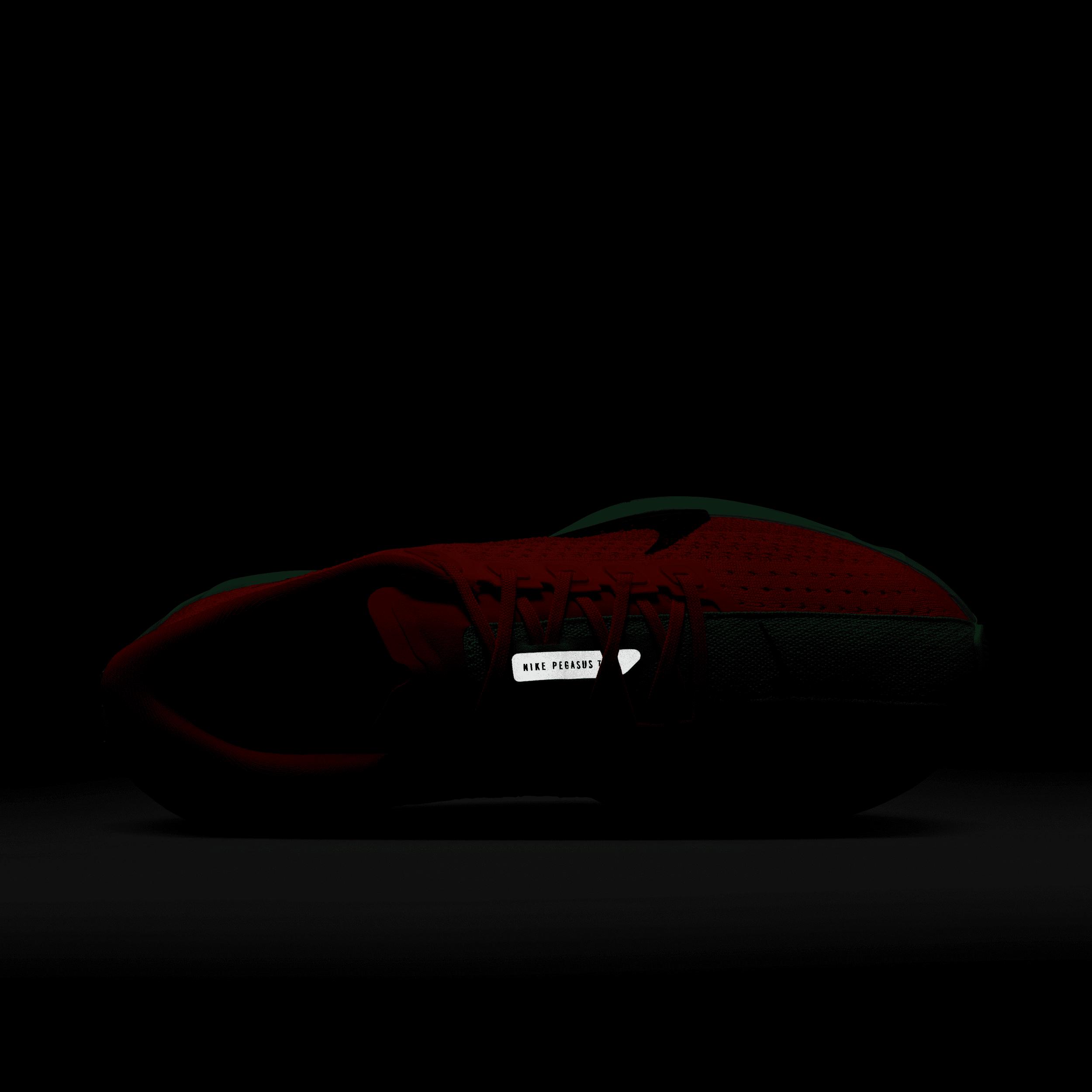 Nike Women's Pegasus Plus Road Running Shoes Product Image