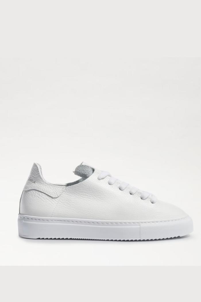 Poppy Lace Up Sneaker- White Product Image