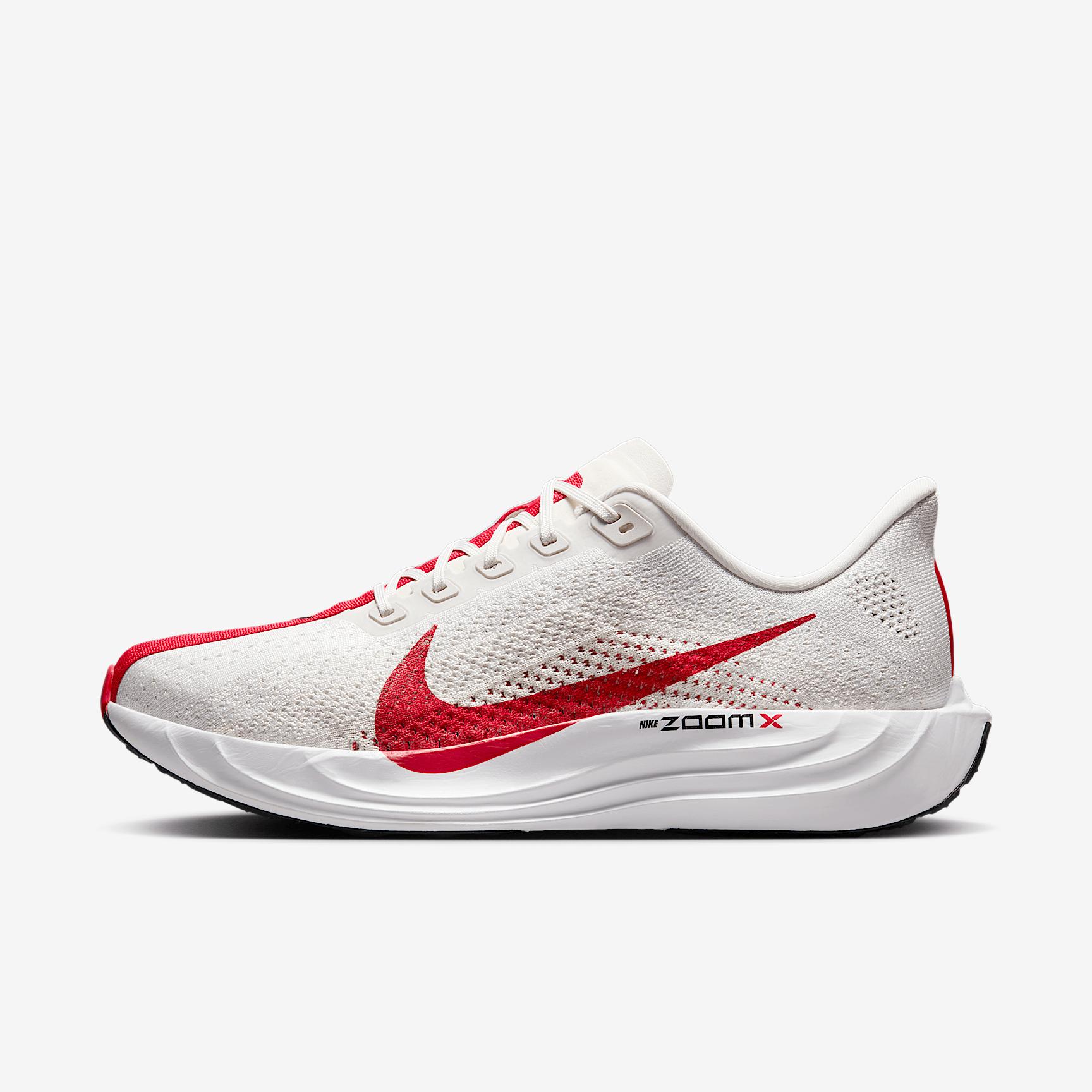Nike Mens Pegasus Plus Road Running Shoes | FQ7262-003 Product Image