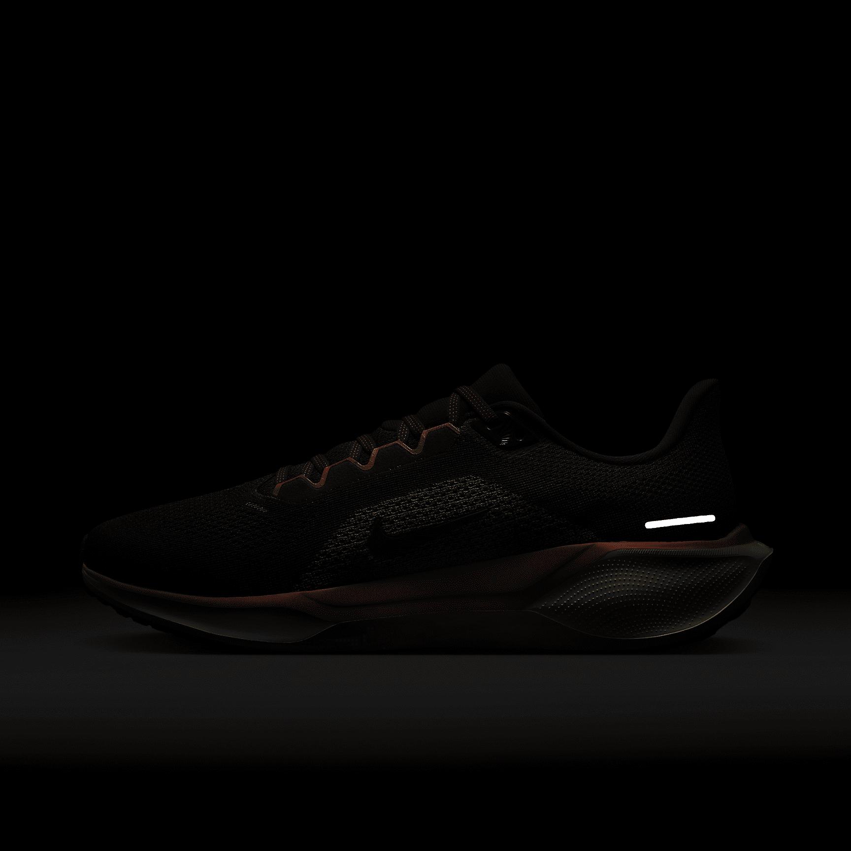 FAMU Pegasus 41 Men's Nike College Road Running Shoes Product Image