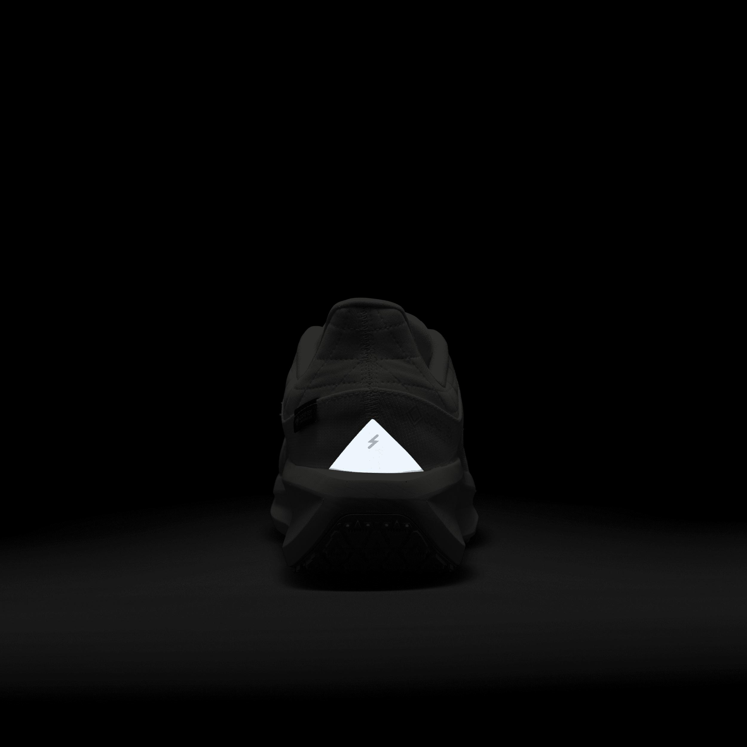 Nike Mens Winflo 11 GORE-TEX Waterproof Road Running Shoes | FQ1358-101 Product Image